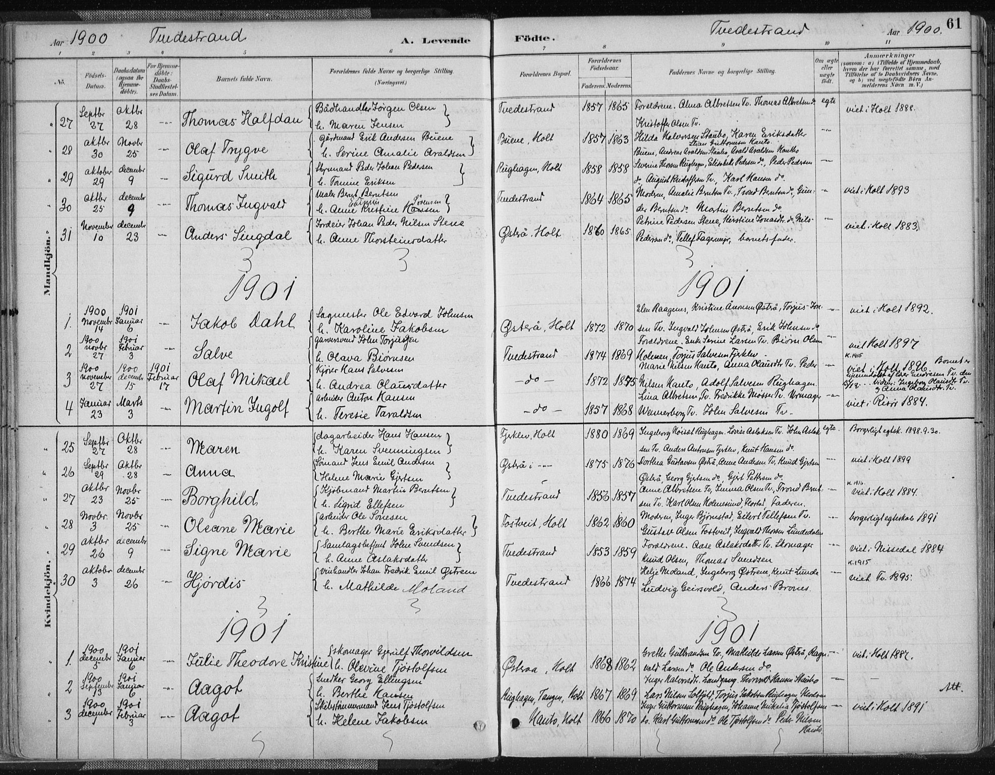 Tvedestrand sokneprestkontor, SAK/1111-0042/F/Fa/L0001: Parish register (official) no. A 1, 1885-1916, p. 61