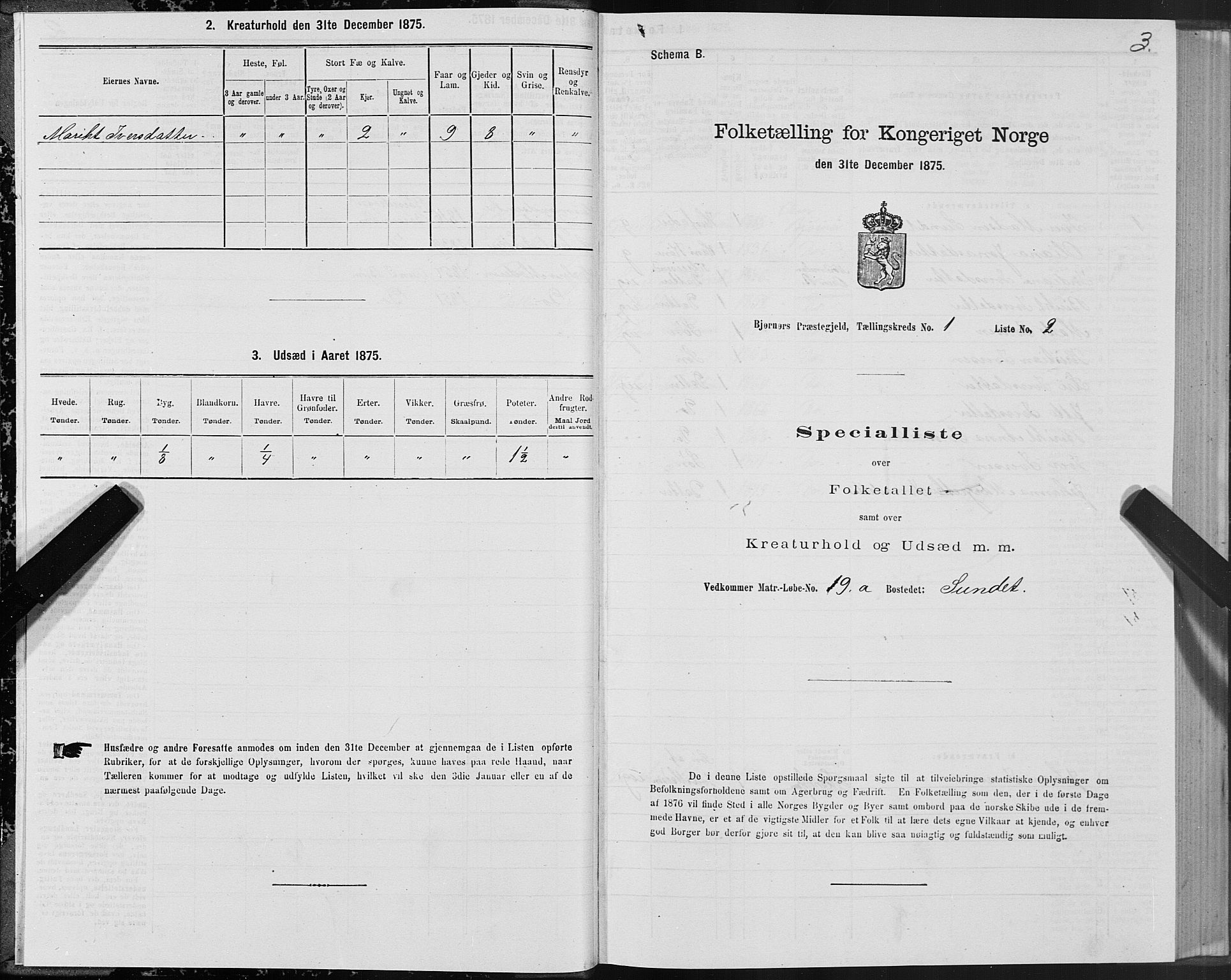 SAT, 1875 census for 1632P Bjørnør, 1875, p. 1003