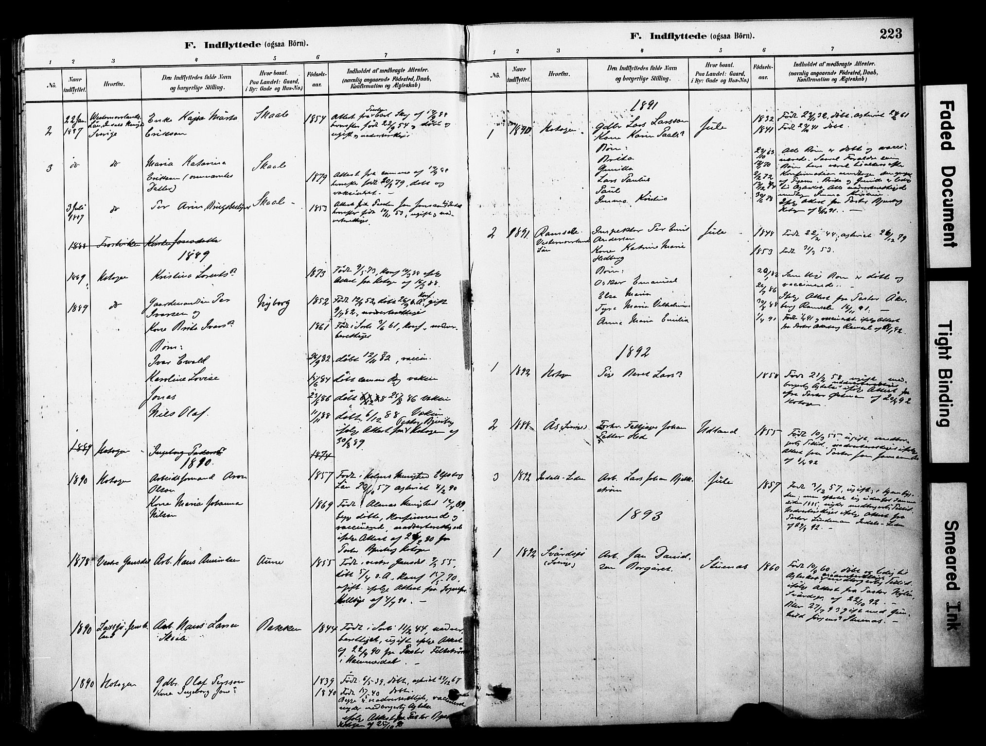 Ministerialprotokoller, klokkerbøker og fødselsregistre - Nord-Trøndelag, SAT/A-1458/757/L0505: Parish register (official) no. 757A01, 1882-1904, p. 223