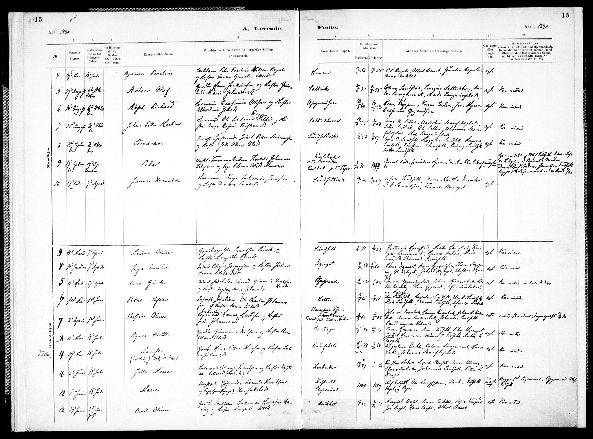 Ministerialprotokoller, klokkerbøker og fødselsregistre - Nord-Trøndelag, AV/SAT-A-1458/733/L0325: Parish register (official) no. 733A04, 1884-1908, p. 15