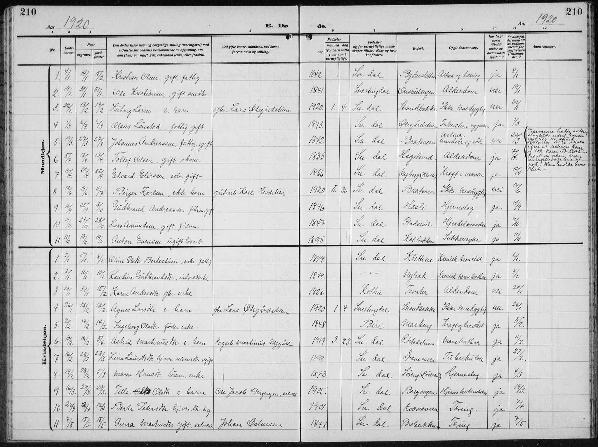 Biri prestekontor, SAH/PREST-096/H/Ha/Hab/L0007: Parish register (copy) no. 7, 1919-1941, p. 210