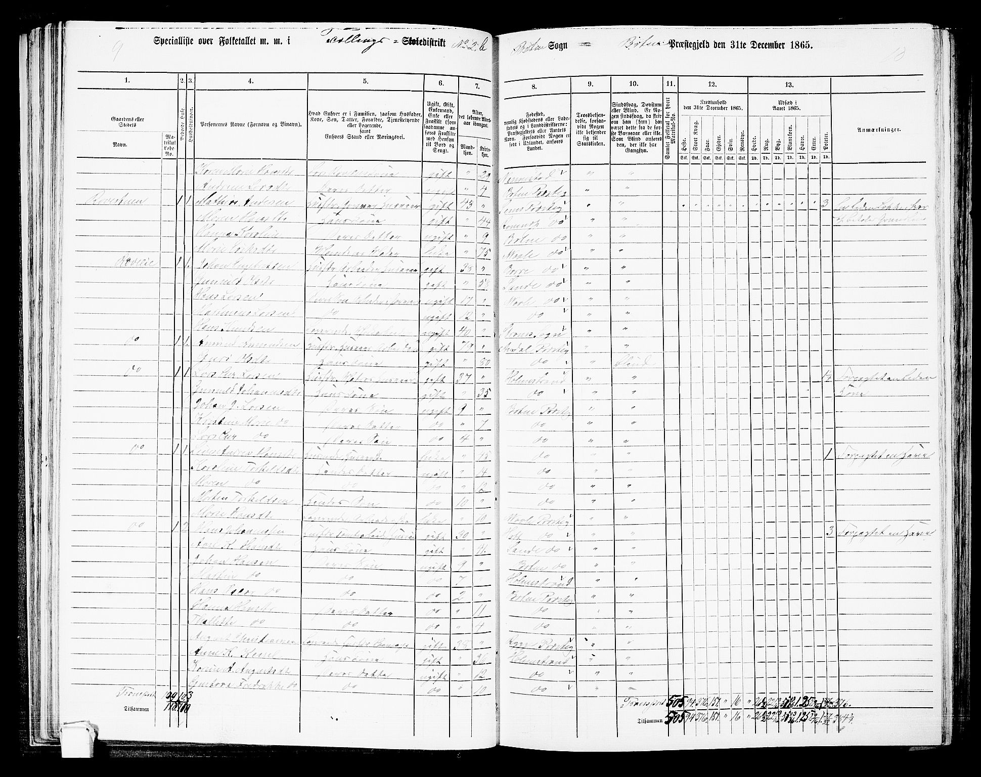 RA, 1865 census for Botne/Botne og Hillestad, 1865, p. 51