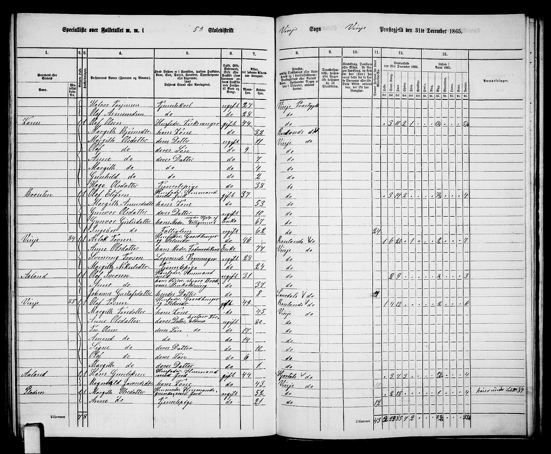 RA, 1865 census for Vinje, 1865, p. 51