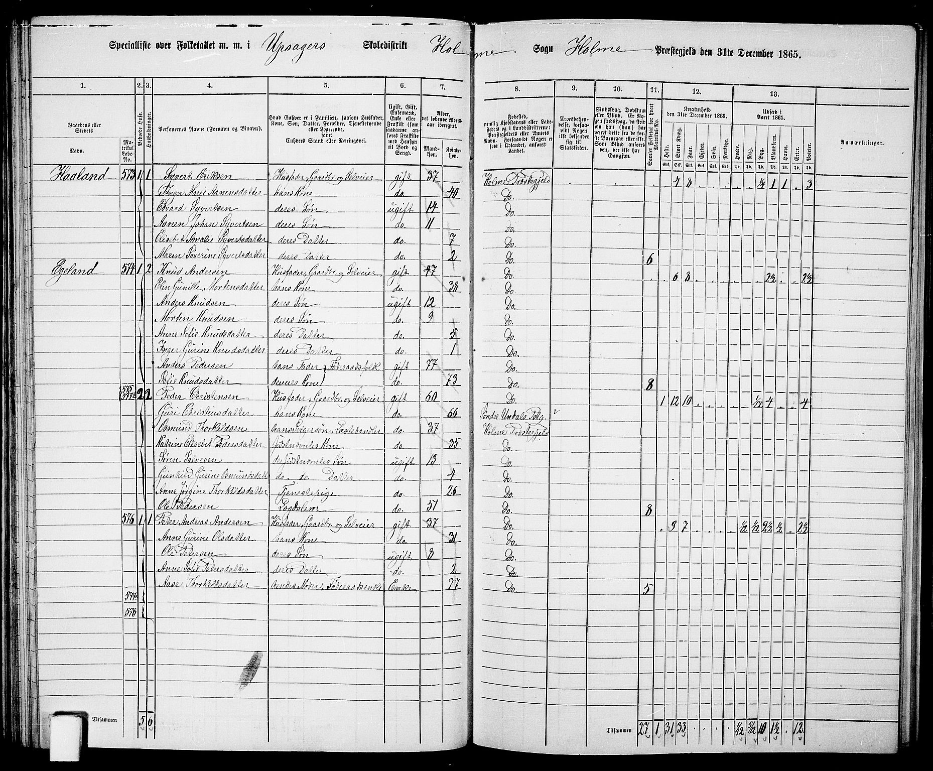 RA, 1865 census for Holum, 1865, p. 53