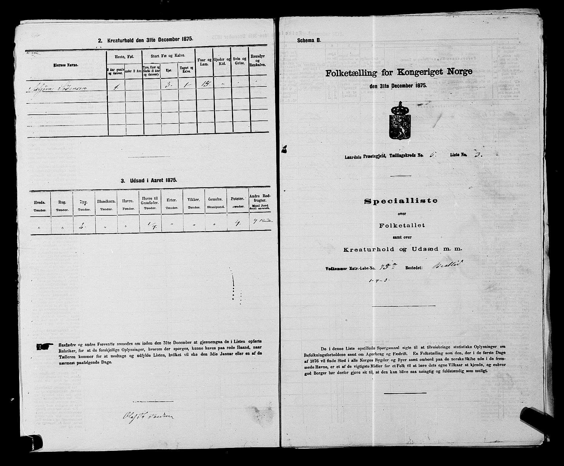 SAKO, 1875 census for 0833P Lårdal, 1875, p. 499