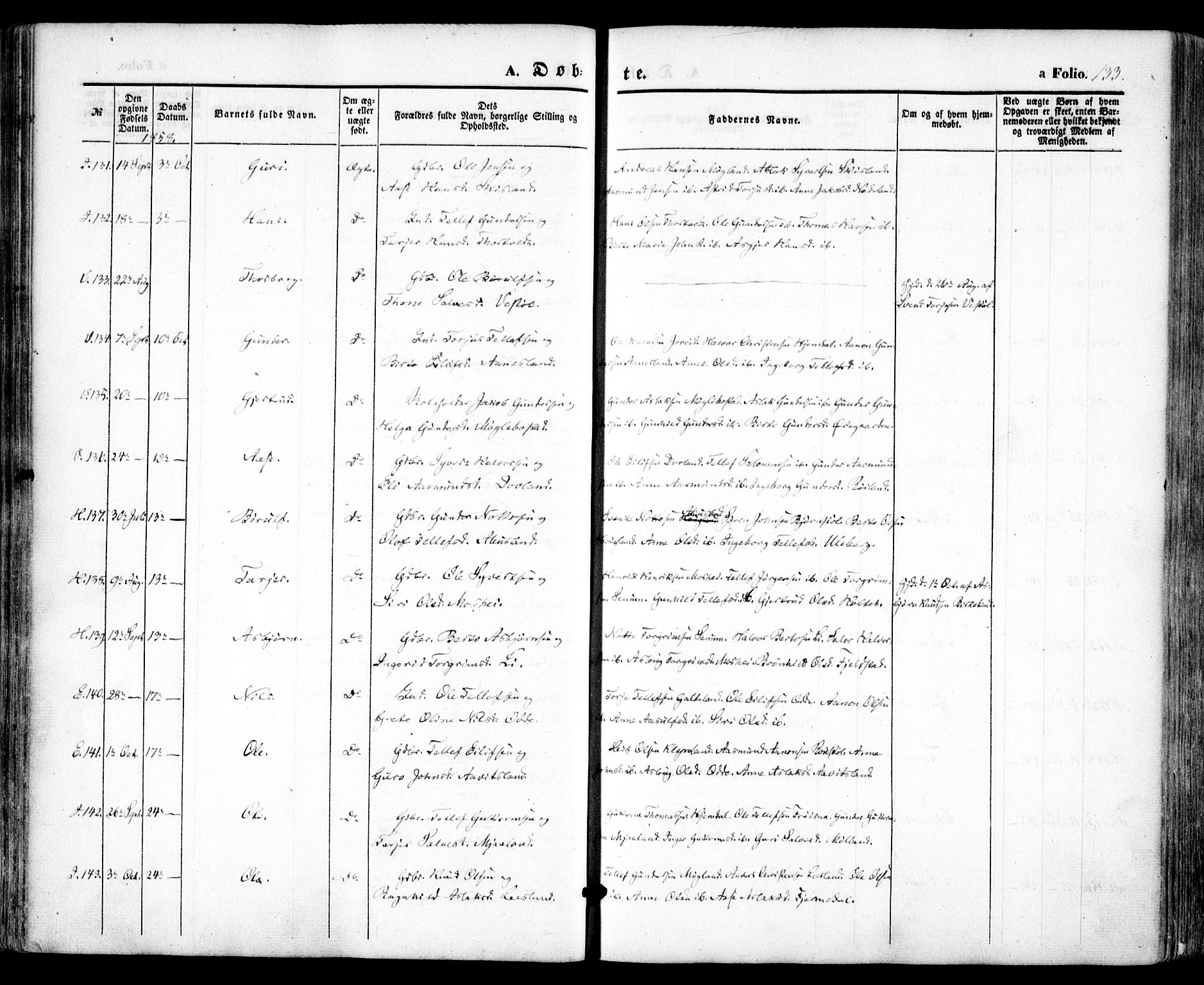 Evje sokneprestkontor, AV/SAK-1111-0008/F/Fa/Faa/L0005: Parish register (official) no. A 5, 1843-1865, p. 133