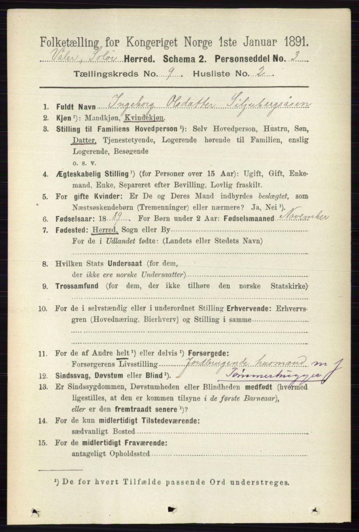 RA, 1891 census for 0426 Våler, 1891, p. 3862