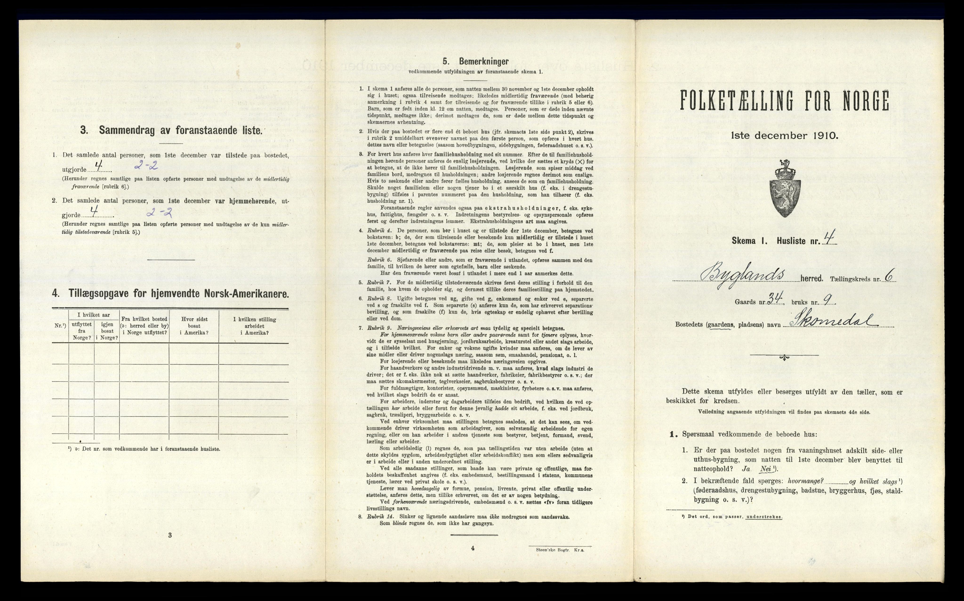 RA, 1910 census for Bygland, 1910, p. 439