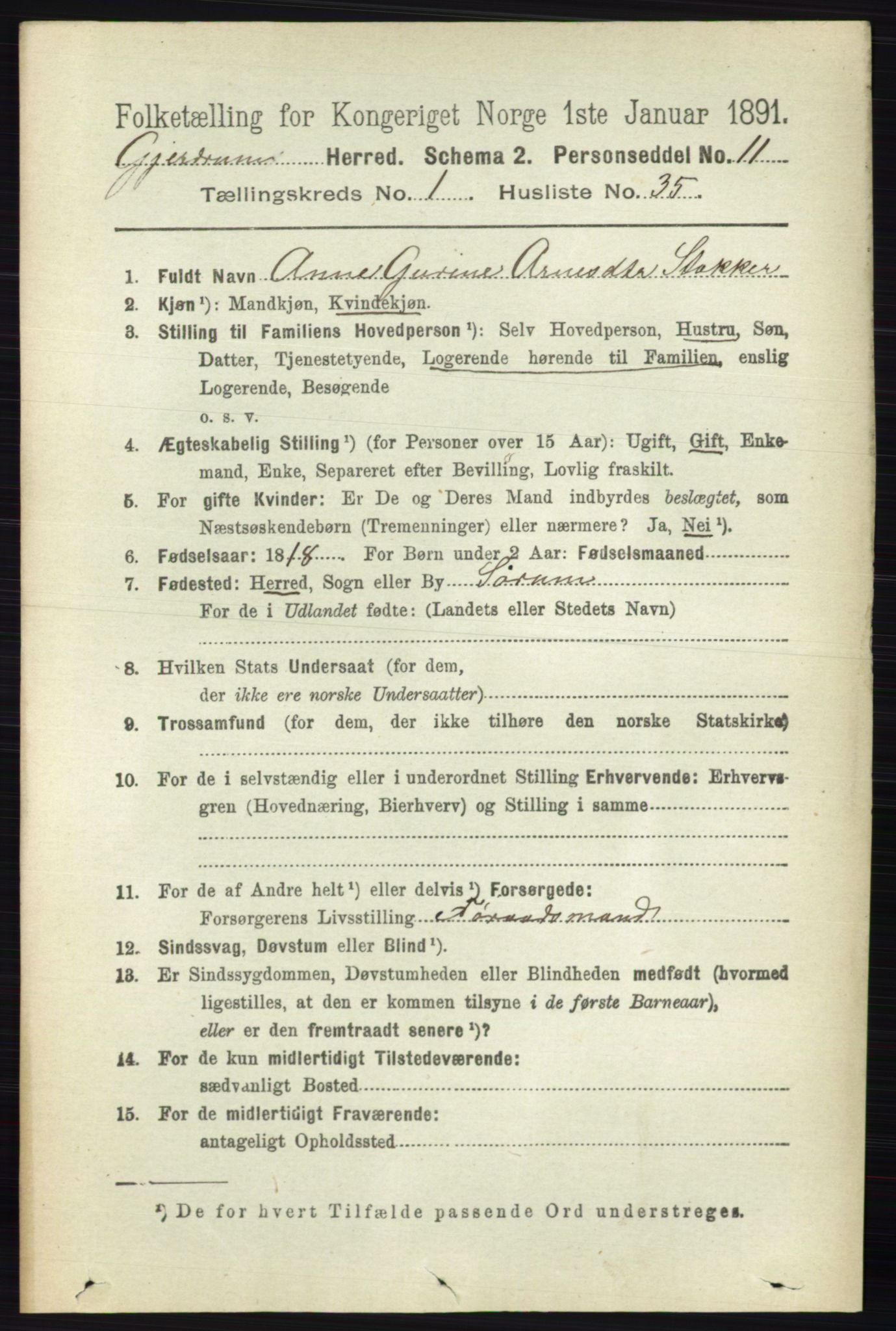 RA, 1891 census for 0234 Gjerdrum, 1891, p. 317