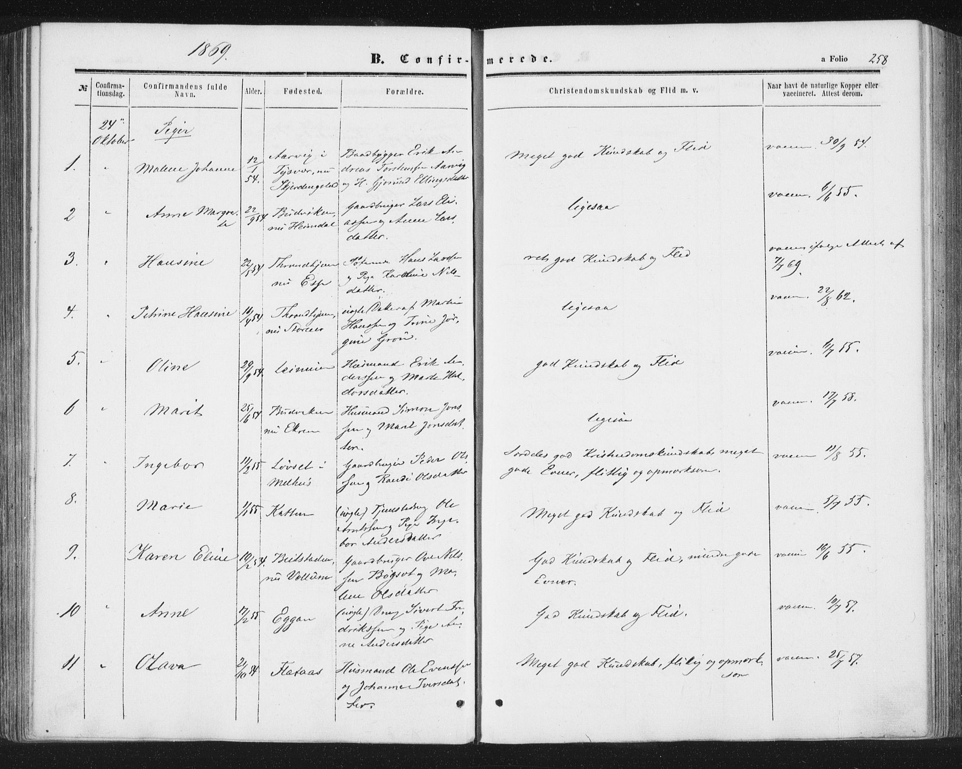 Ministerialprotokoller, klokkerbøker og fødselsregistre - Sør-Trøndelag, SAT/A-1456/691/L1077: Parish register (official) no. 691A09, 1862-1873, p. 258