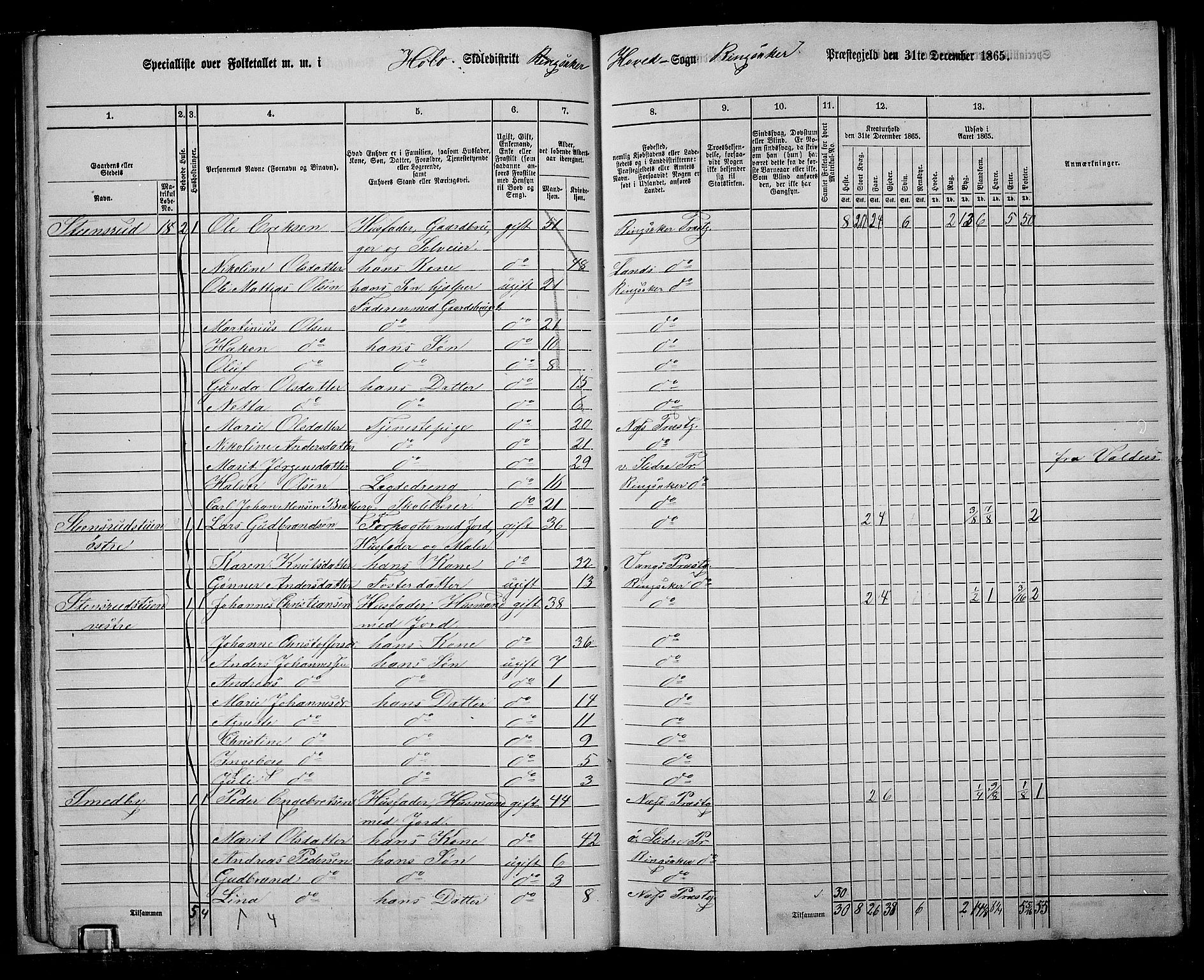 RA, 1865 census for Ringsaker, 1865, p. 39