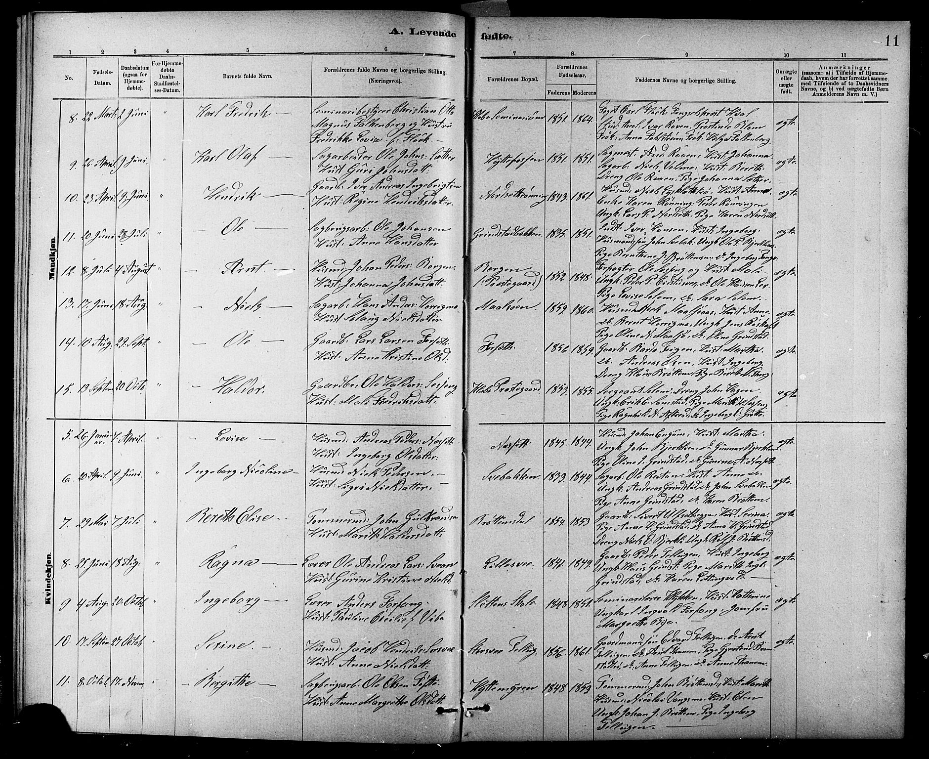 Ministerialprotokoller, klokkerbøker og fødselsregistre - Sør-Trøndelag, SAT/A-1456/618/L0452: Parish register (copy) no. 618C03, 1884-1906, p. 11