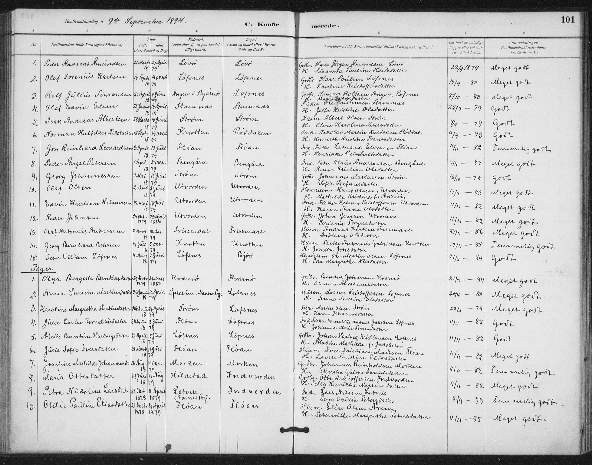 Ministerialprotokoller, klokkerbøker og fødselsregistre - Nord-Trøndelag, SAT/A-1458/772/L0603: Parish register (official) no. 772A01, 1885-1912, p. 101