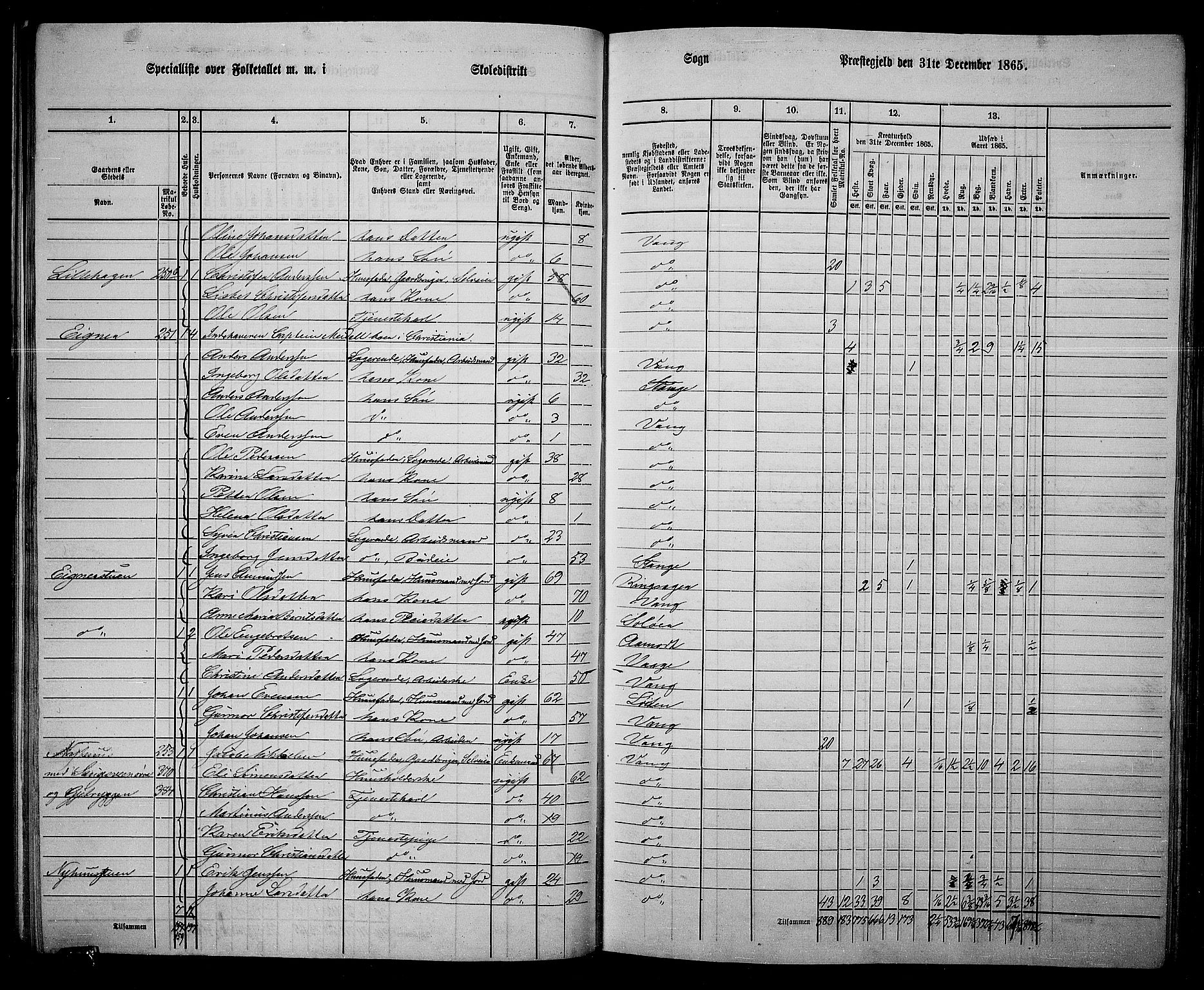 RA, 1865 census for Vang/Vang og Furnes, 1865, p. 207