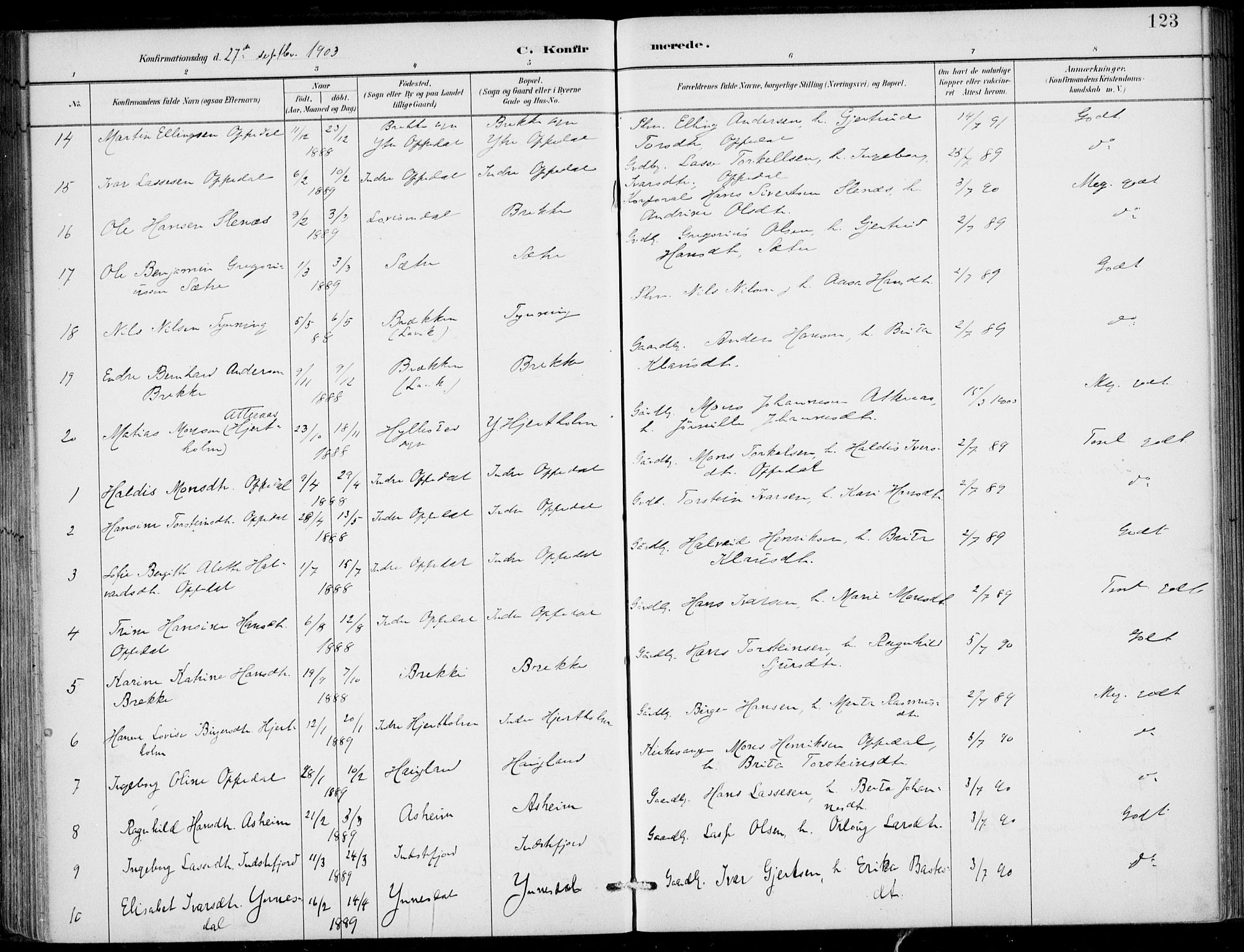 Gulen sokneprestembete, SAB/A-80201/H/Haa/Haac/L0002: Parish register (official) no. C  2, 1882-1914, p. 123