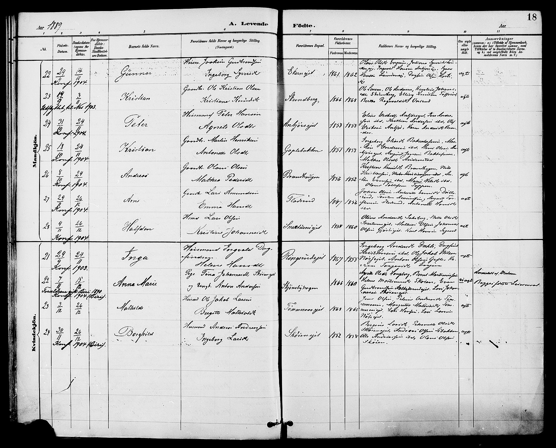 Biri prestekontor, AV/SAH-PREST-096/H/Ha/Haa/L0007: Parish register (official) no. 7, 1887-1893, p. 18