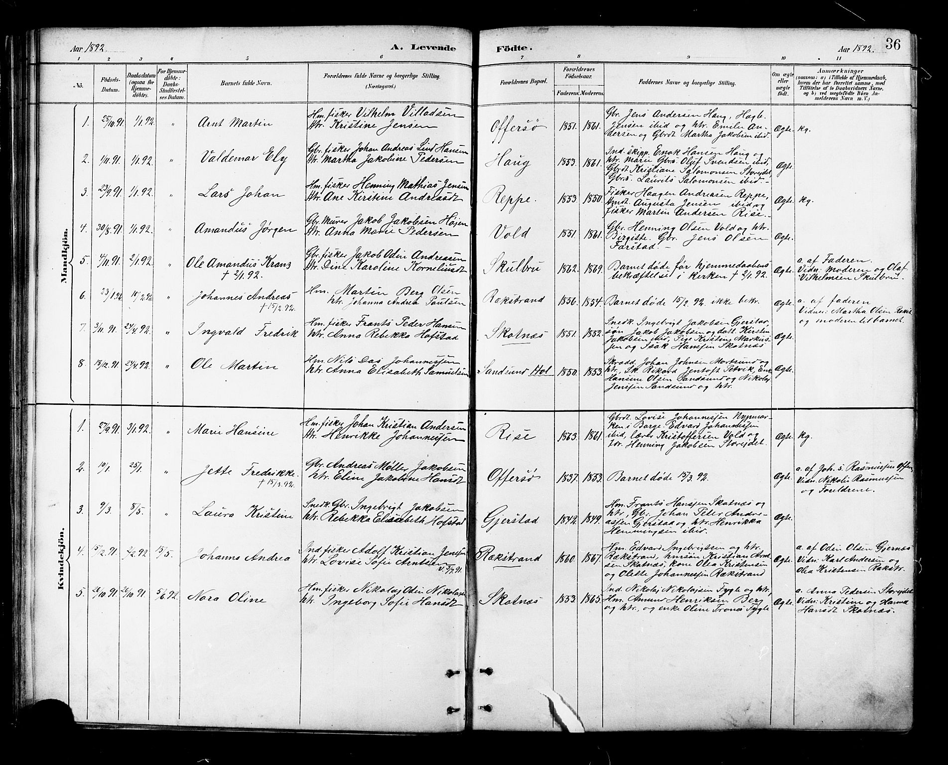 Ministerialprotokoller, klokkerbøker og fødselsregistre - Nordland, AV/SAT-A-1459/881/L1167: Parish register (copy) no. 881C04, 1886-1899, p. 36