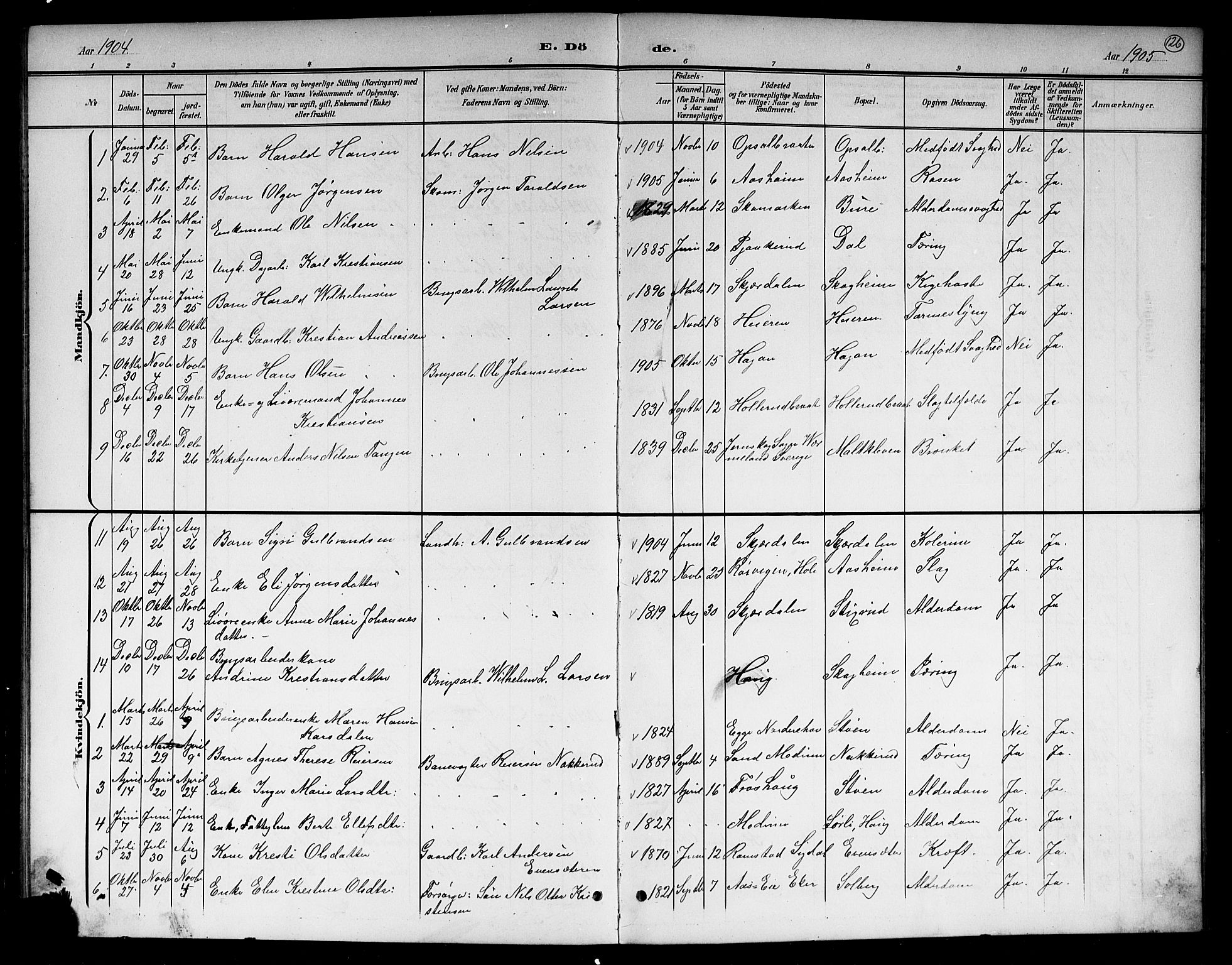 Hole kirkebøker, SAKO/A-228/G/Gb/L0004: Parish register (copy) no. II 4, 1901-1916, p. 126