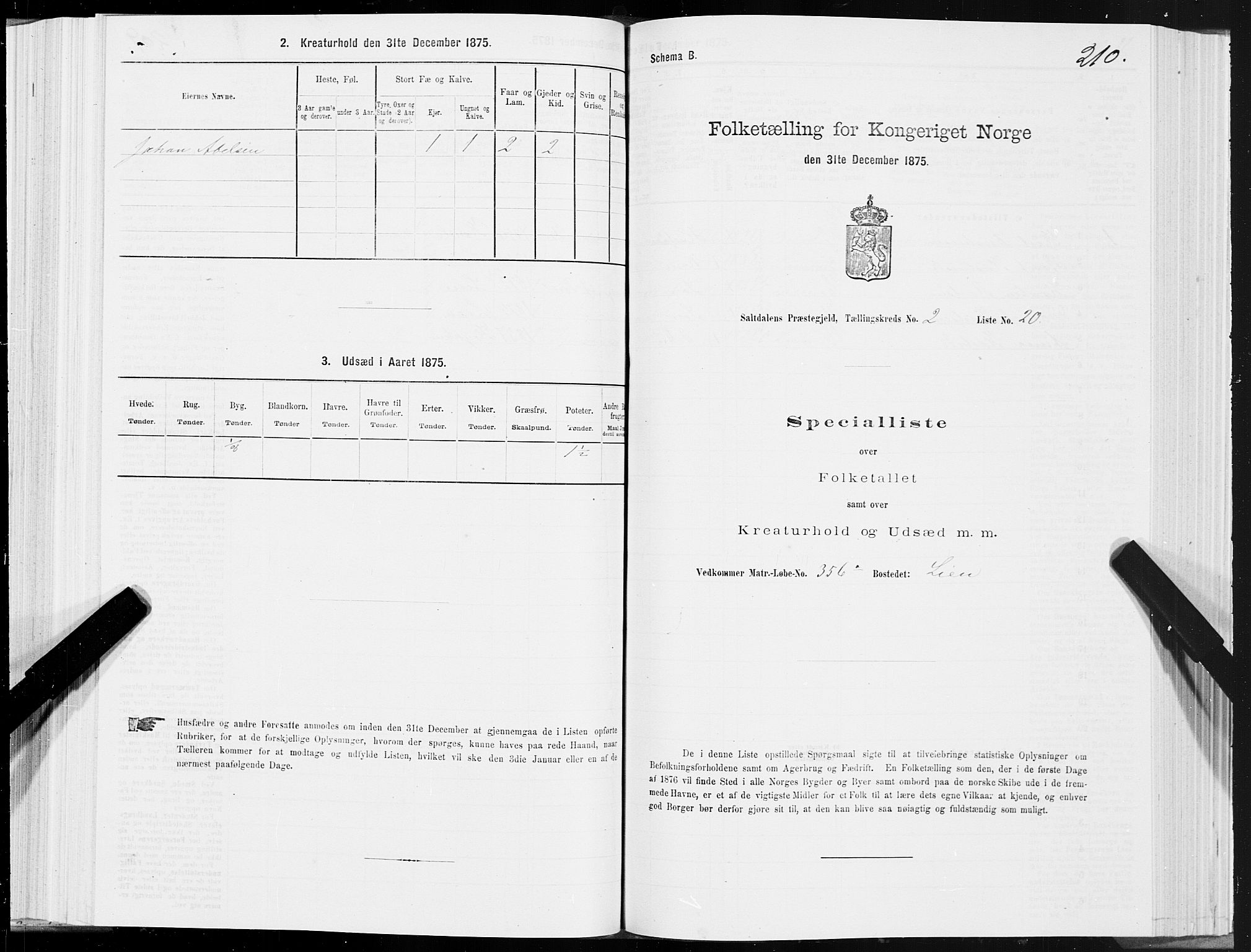 SAT, 1875 census for 1840P Saltdal, 1875, p. 1210