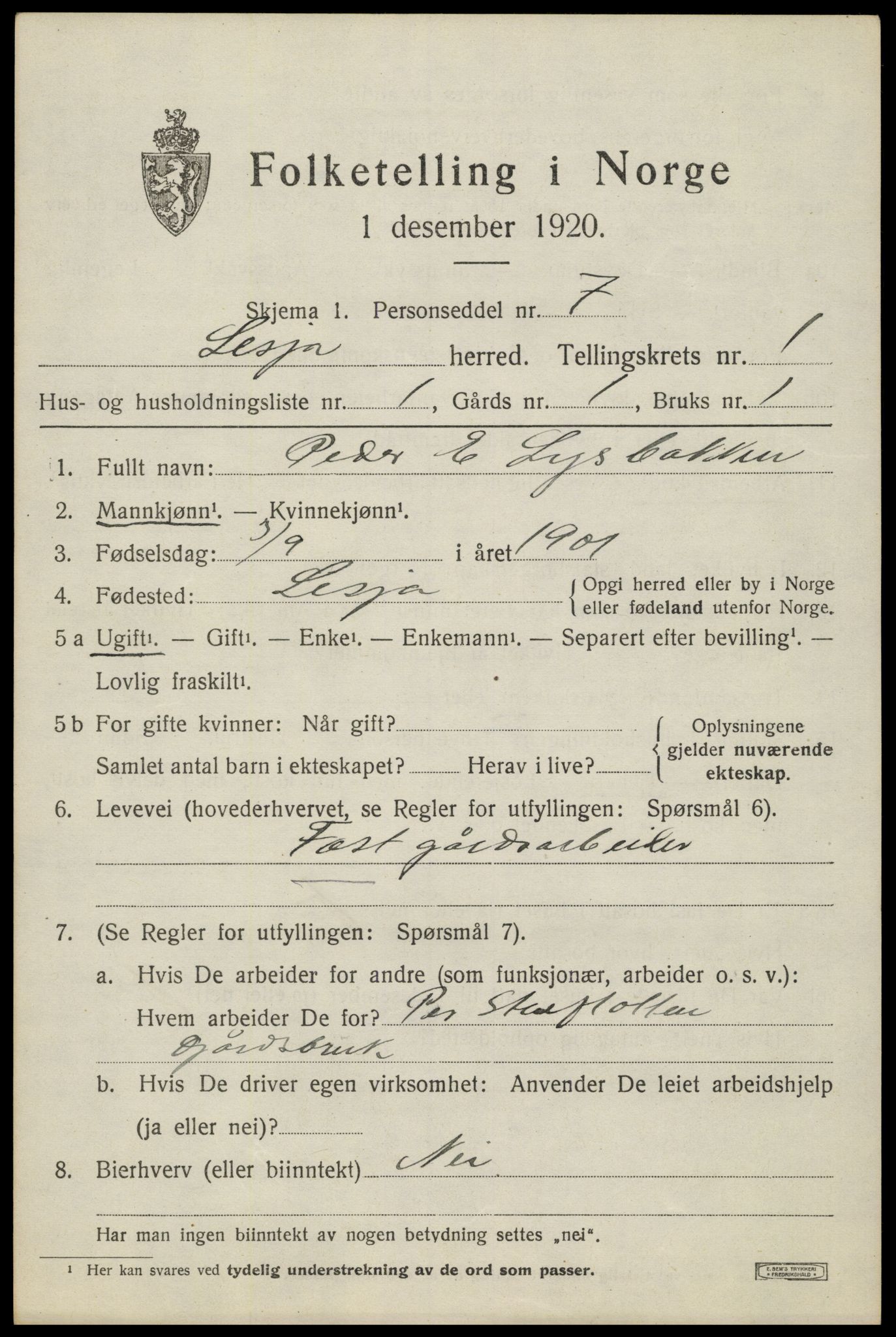 SAH, 1920 census for Lesja, 1920, p. 1058