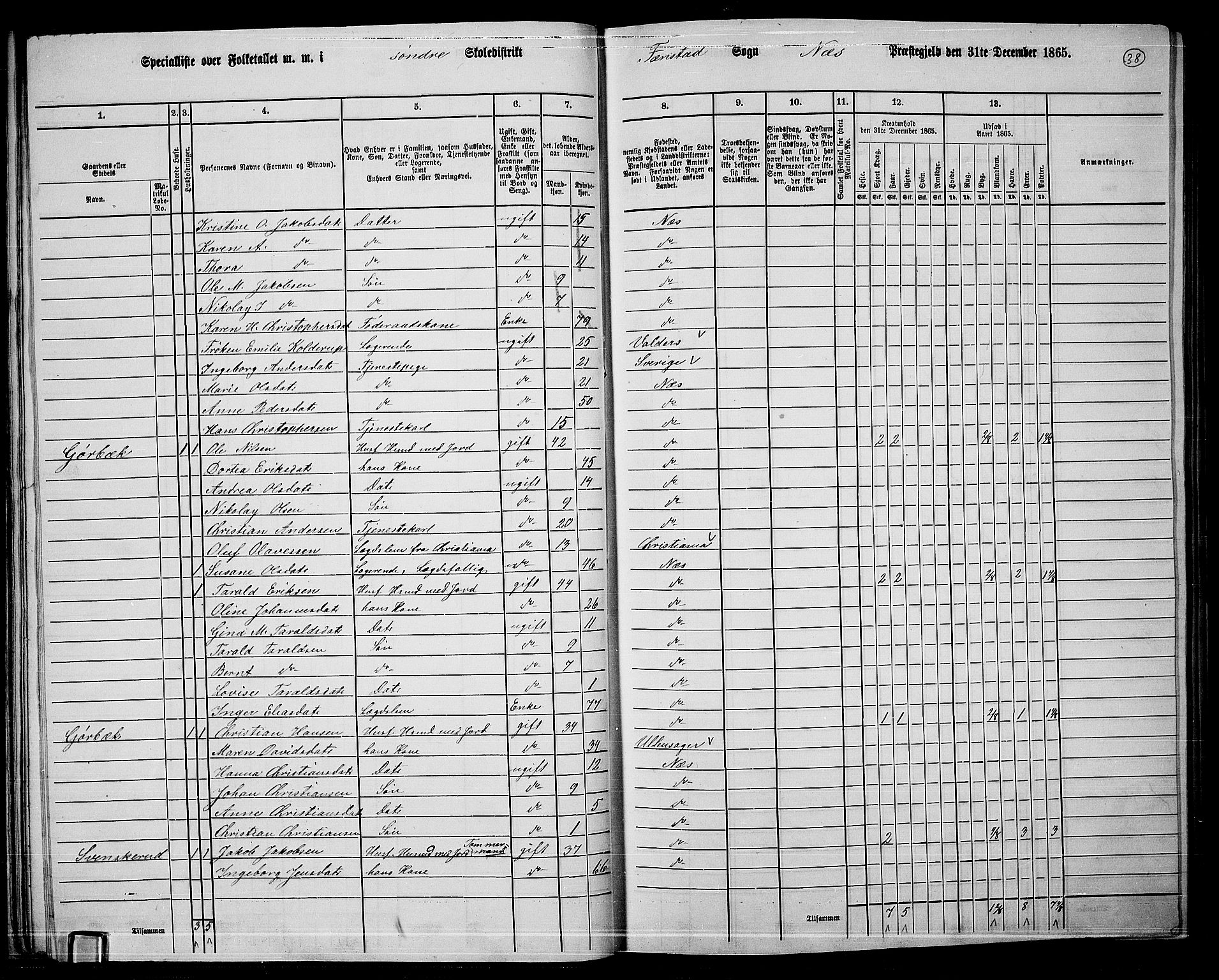 RA, 1865 census for Nes, 1865, p. 35