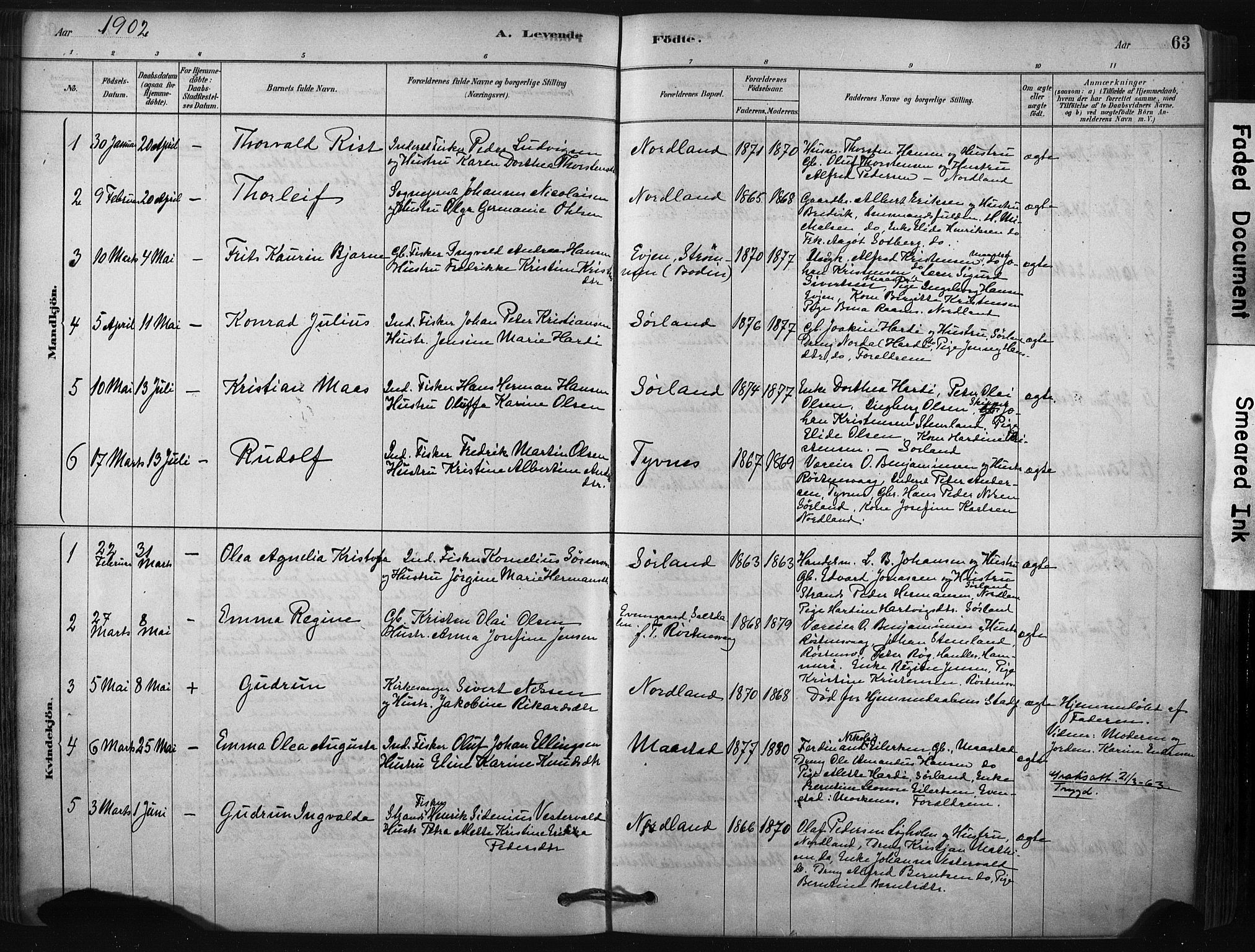 Ministerialprotokoller, klokkerbøker og fødselsregistre - Nordland, AV/SAT-A-1459/807/L0122: Parish register (official) no. 807A05, 1880-1902, p. 63