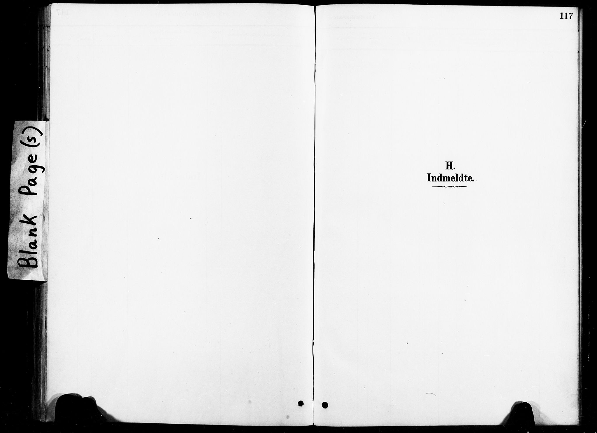 Ministerialprotokoller, klokkerbøker og fødselsregistre - Nord-Trøndelag, SAT/A-1458/738/L0364: Parish register (official) no. 738A01, 1884-1902, p. 117