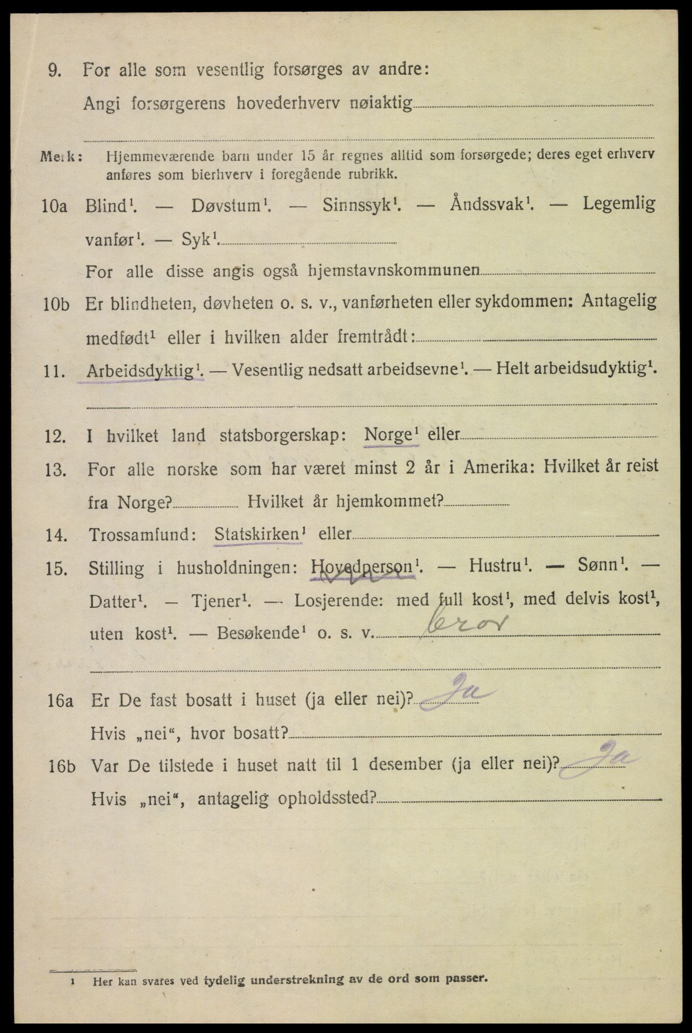 SAH, 1920 census for Heidal, 1920, p. 2793