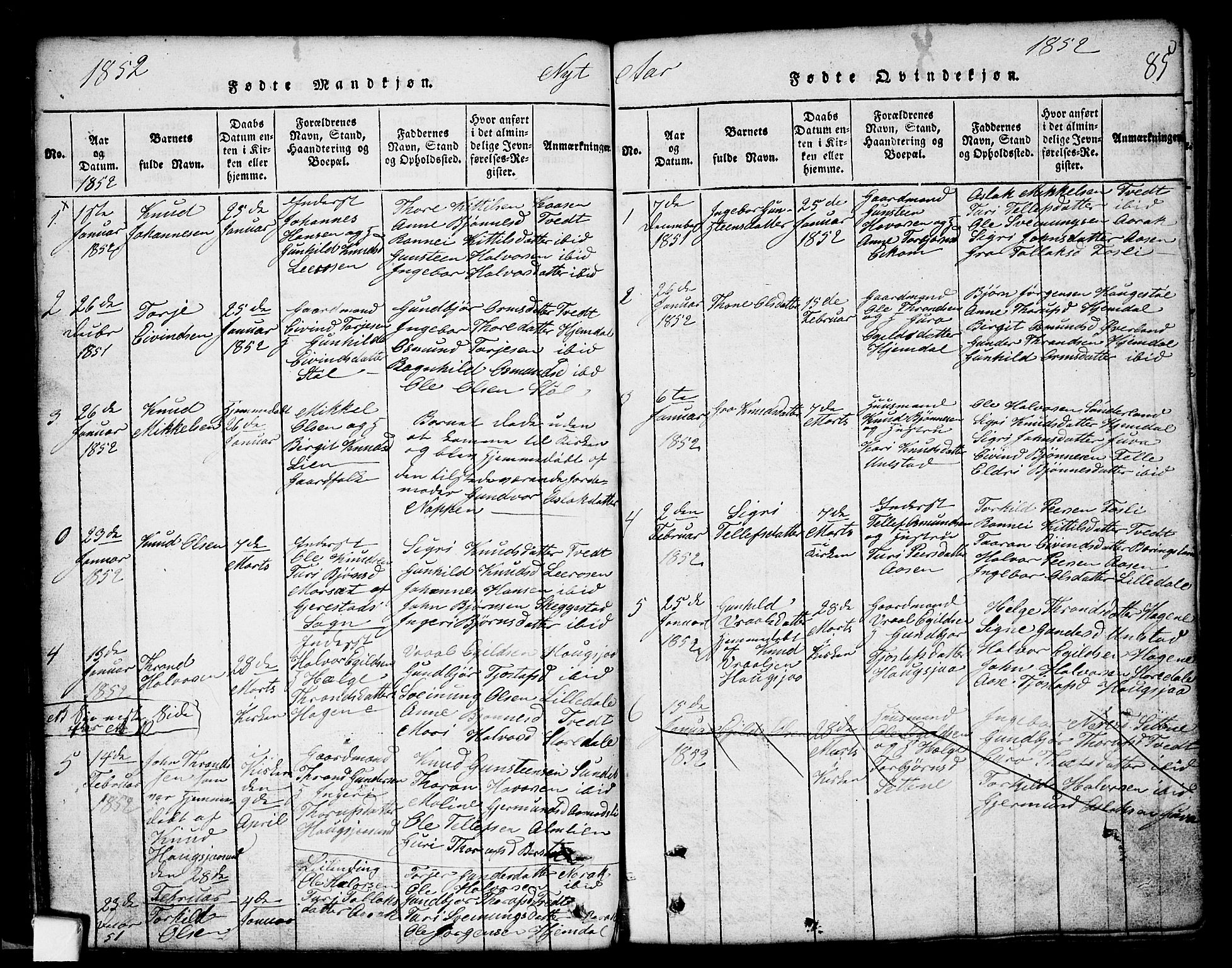 Nissedal kirkebøker, SAKO/A-288/G/Gb/L0001: Parish register (copy) no. II 1, 1814-1862, p. 85