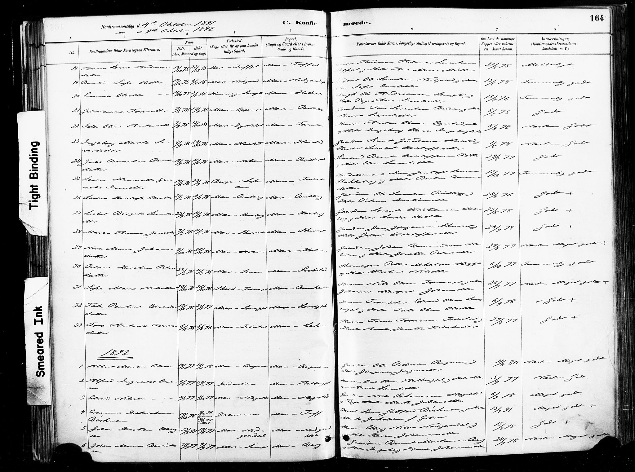 Ministerialprotokoller, klokkerbøker og fødselsregistre - Nord-Trøndelag, SAT/A-1458/735/L0351: Parish register (official) no. 735A10, 1884-1908, p. 164