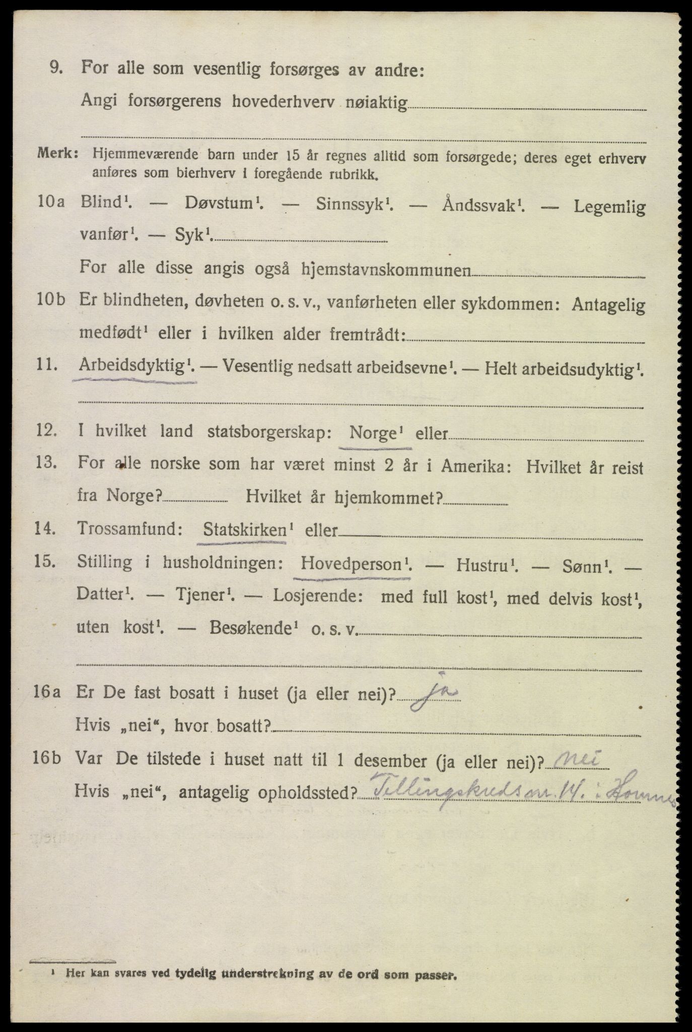 SAK, 1920 census for Hornnes, 1920, p. 2508