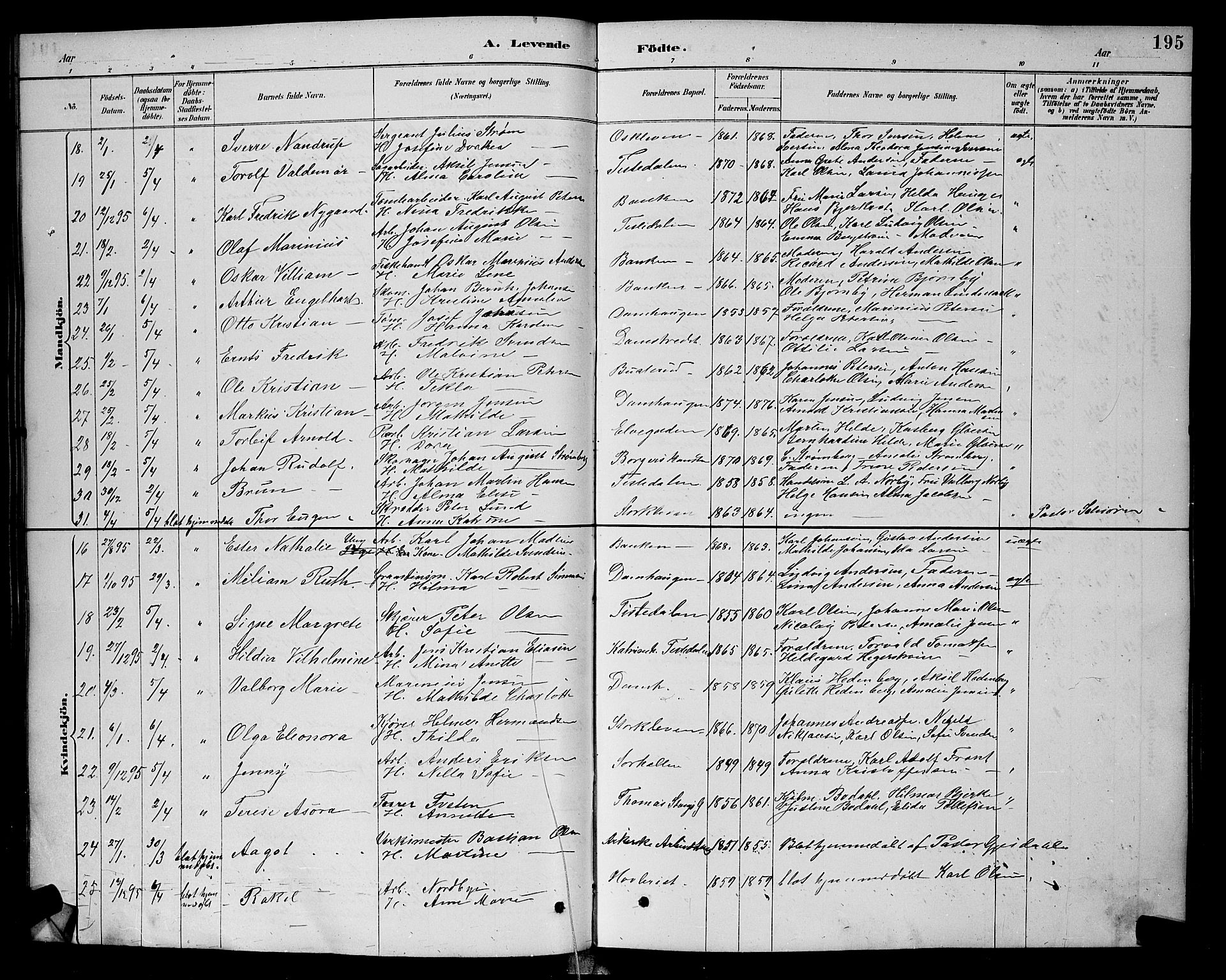 Halden prestekontor Kirkebøker, SAO/A-10909/G/Ga/L0008: Parish register (copy) no. 8, 1885-1899, p. 195