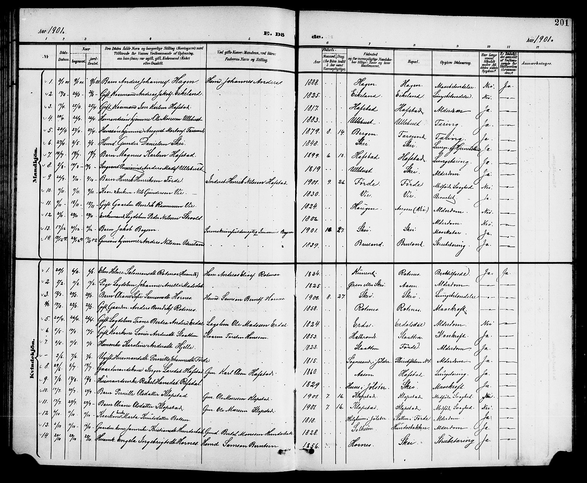 Førde sokneprestembete, SAB/A-79901/H/Hab/Haba/L0003: Parish register (copy) no. A 3, 1899-1924, p. 201
