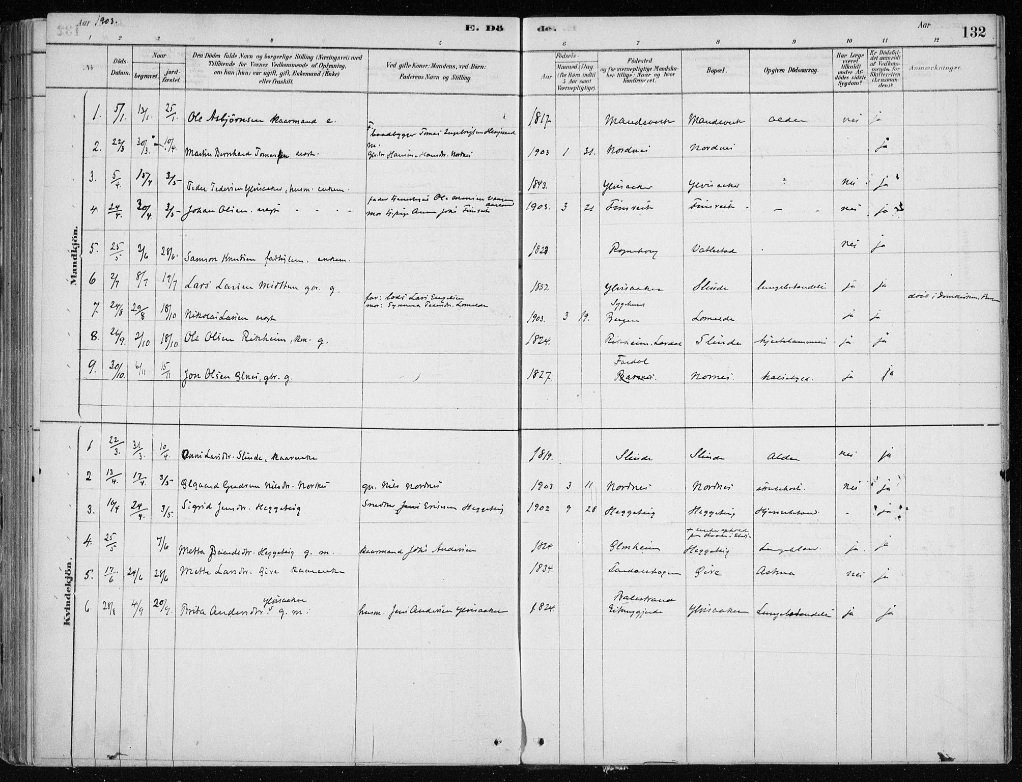 Sogndal sokneprestembete, SAB/A-81301/H/Haa/Haac/L0001: Parish register (official) no. C 1, 1878-1907, p. 132