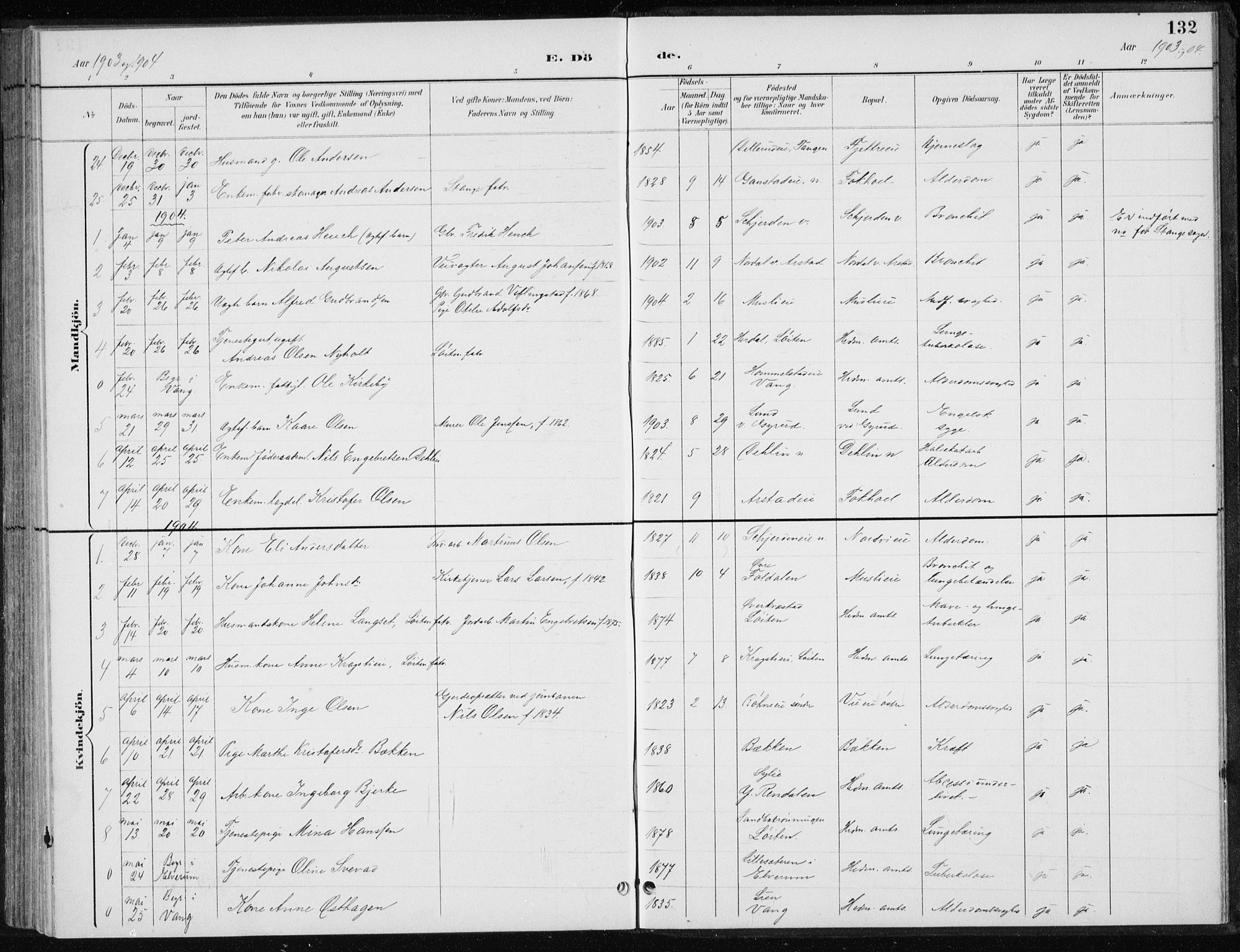 Stange prestekontor, SAH/PREST-002/L/L0010: Parish register (copy) no. 10, 1894-1905, p. 132