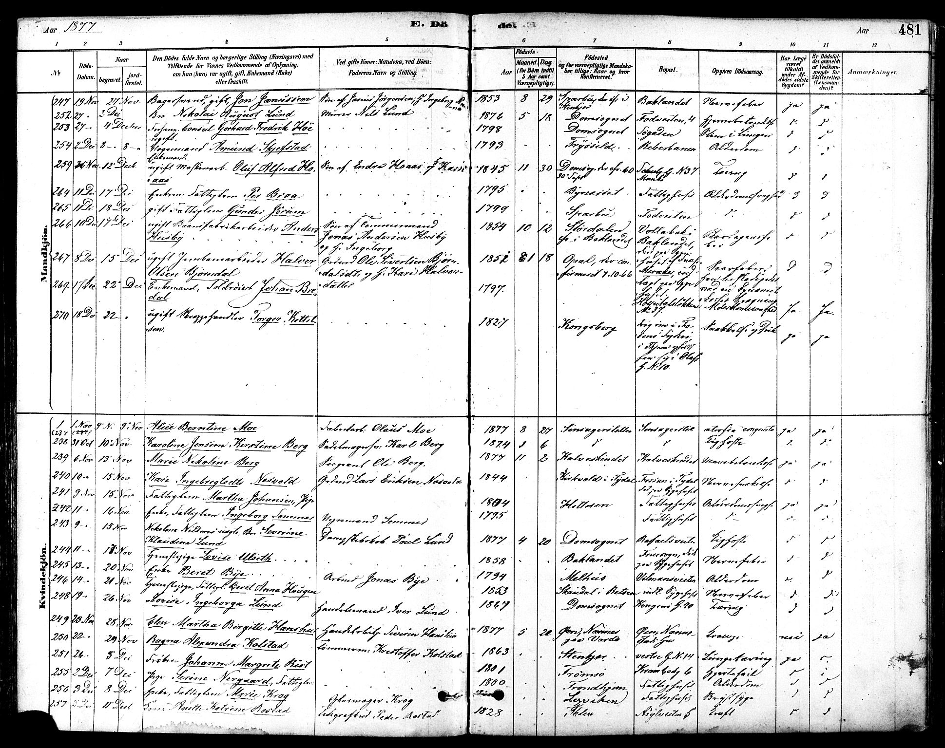 Ministerialprotokoller, klokkerbøker og fødselsregistre - Sør-Trøndelag, SAT/A-1456/601/L0058: Parish register (official) no. 601A26, 1877-1891, p. 481