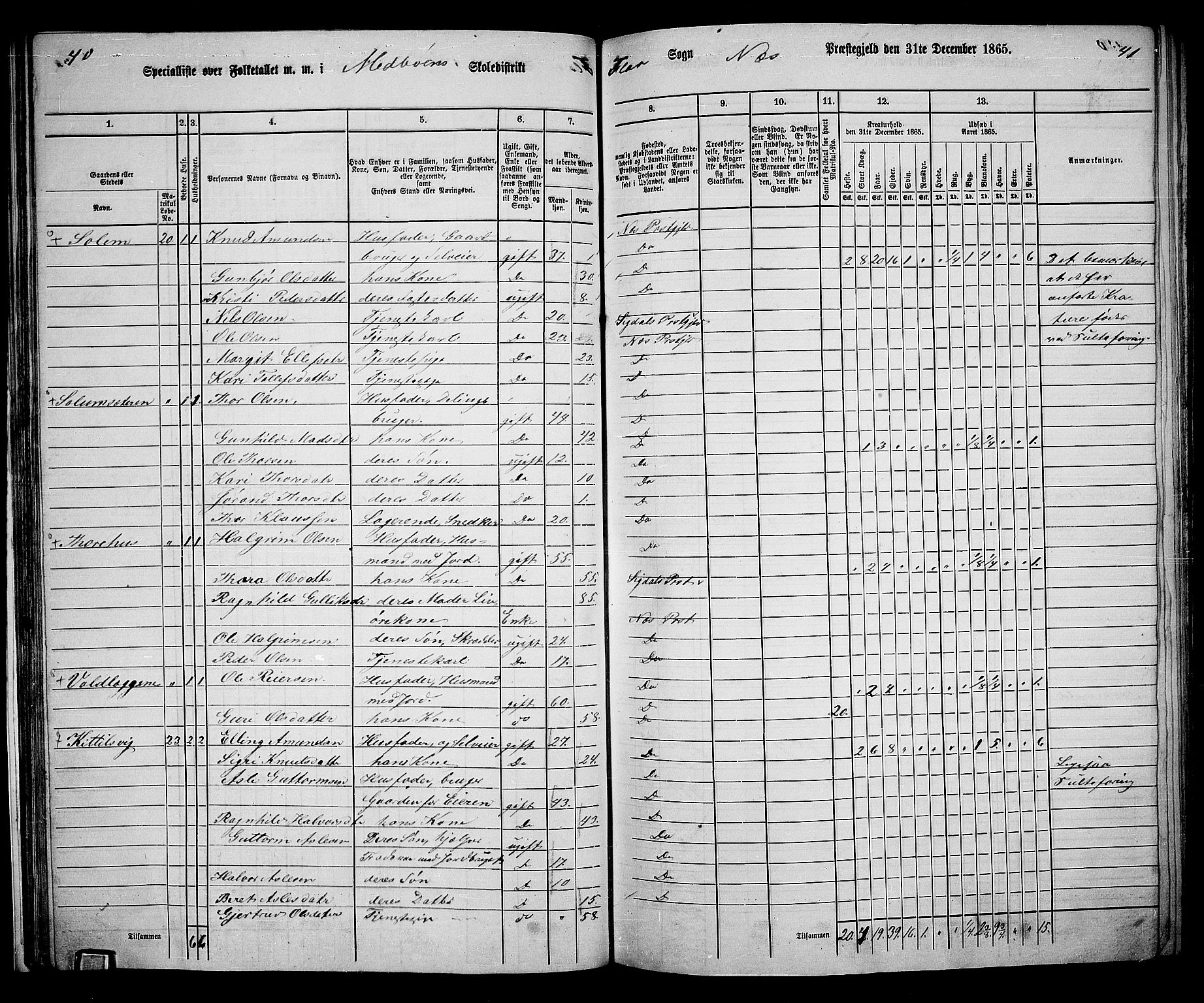 RA, 1865 census for Nes, 1865, p. 38