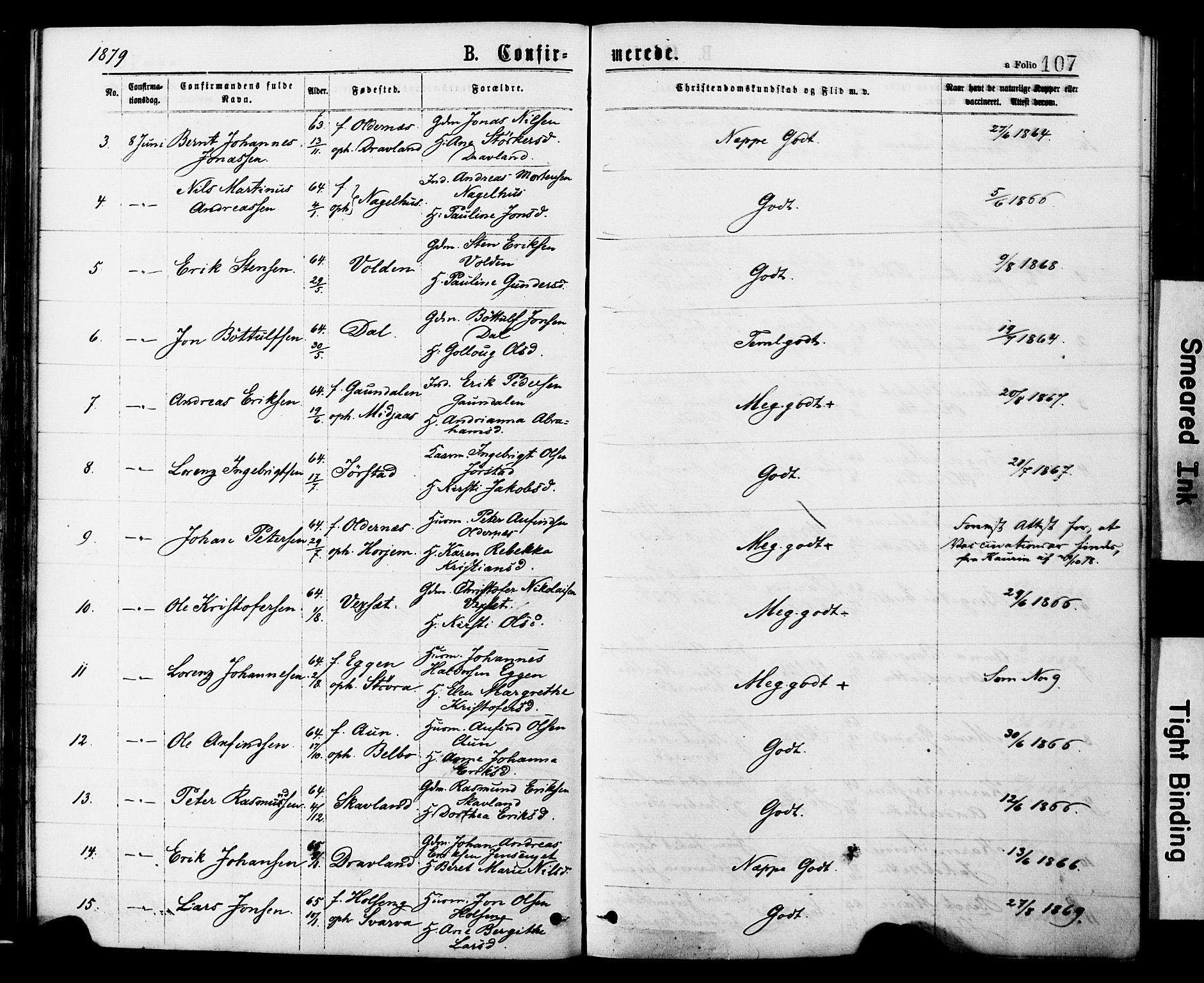 Ministerialprotokoller, klokkerbøker og fødselsregistre - Nord-Trøndelag, AV/SAT-A-1458/749/L0473: Parish register (official) no. 749A07, 1873-1887, p. 107