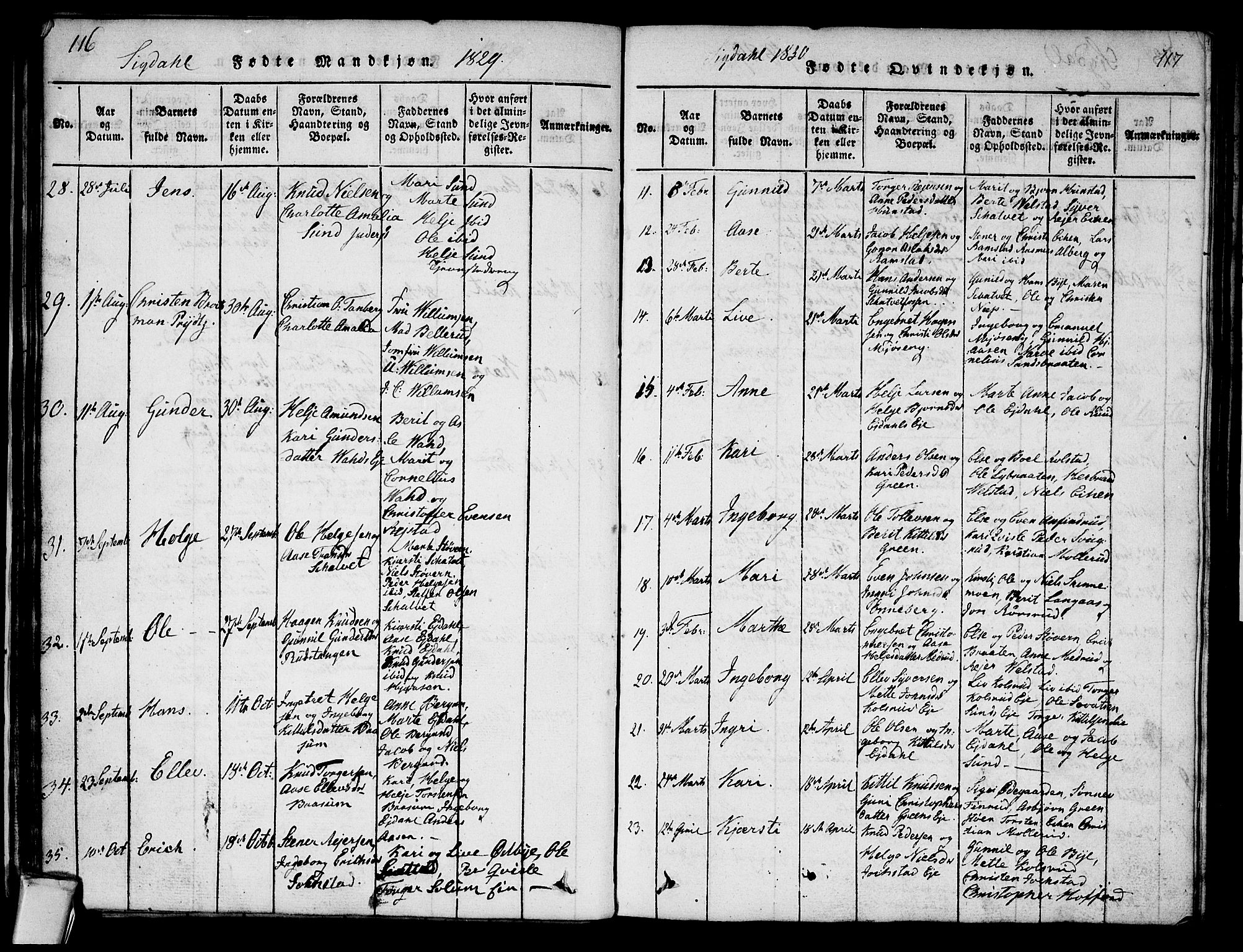 Sigdal kirkebøker, AV/SAKO-A-245/G/Ga/L0001: Parish register (copy) no. I 1 /1, 1816-1835, p. 116-117