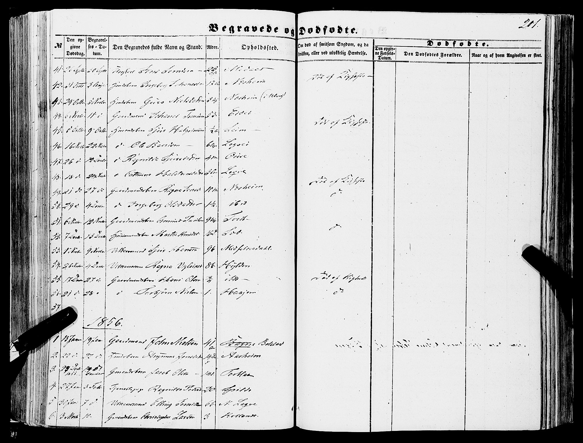 Ulvik sokneprestembete, SAB/A-78801/H/Haa: Parish register (official) no. A 13, 1853-1863, p. 201