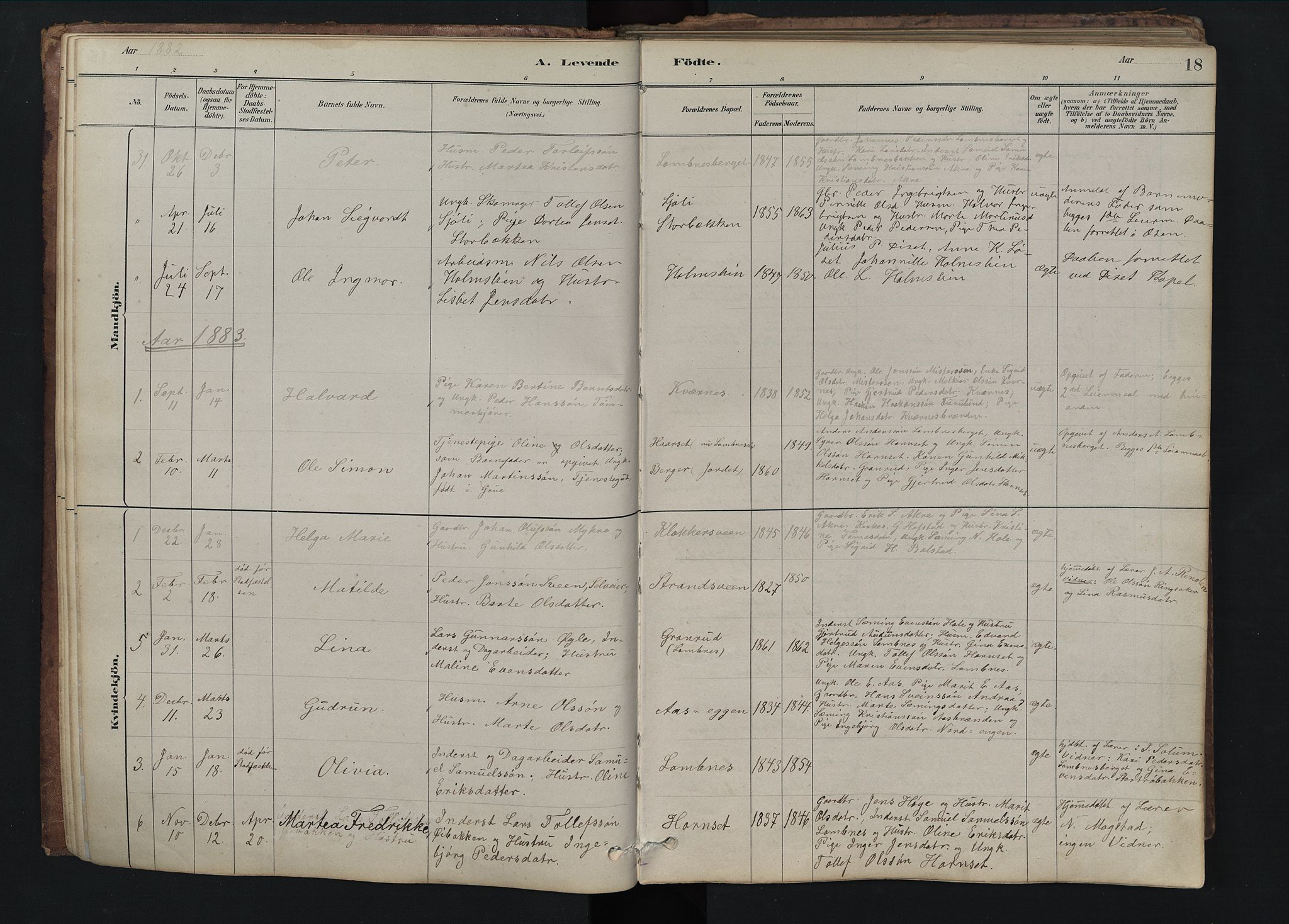 Rendalen prestekontor, SAH/PREST-054/H/Ha/Hab/L0009: Parish register (copy) no. 9, 1879-1902, p. 18