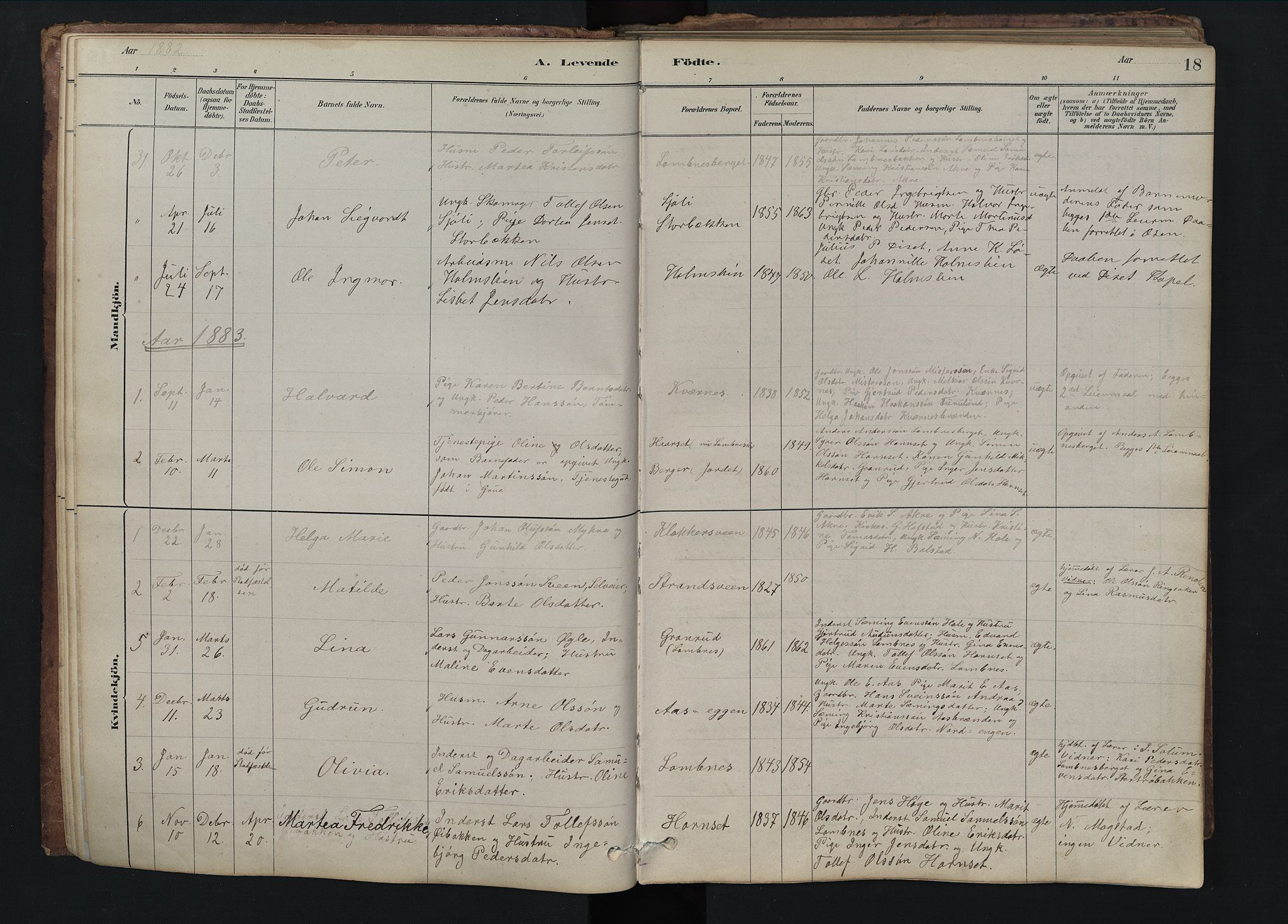 Rendalen prestekontor, AV/SAH-PREST-054/H/Ha/Hab/L0009: Parish register (copy) no. 9, 1879-1902, p. 18