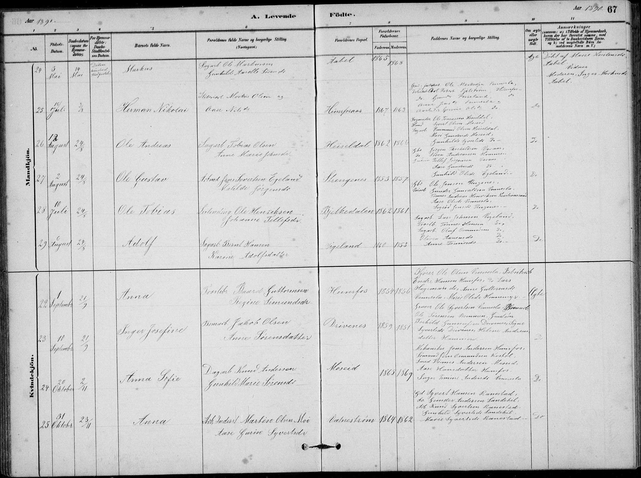 Vennesla sokneprestkontor, AV/SAK-1111-0045/Fb/Fbb/L0003: Parish register (copy) no. B 3, 1879-1893, p. 67