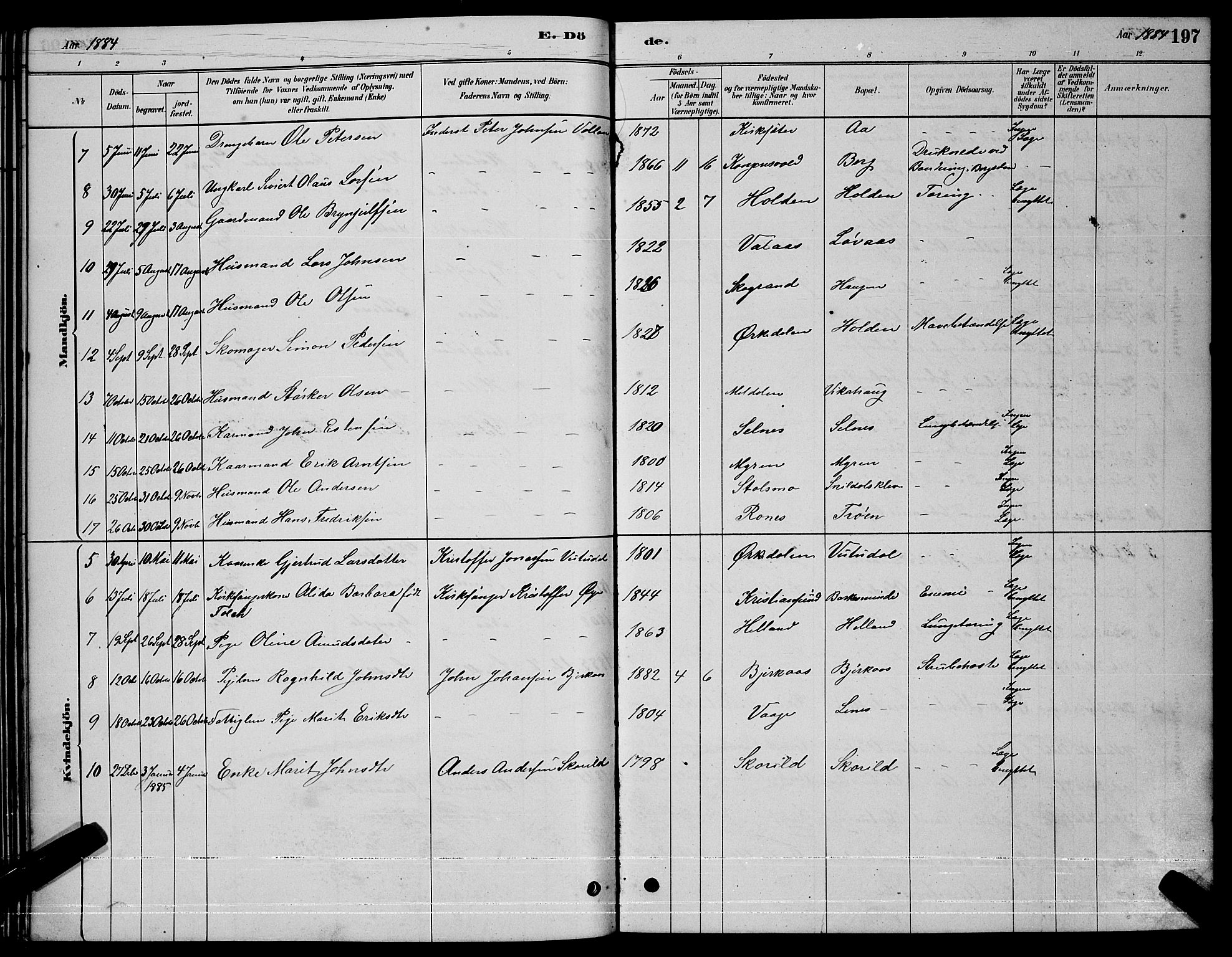 Ministerialprotokoller, klokkerbøker og fødselsregistre - Sør-Trøndelag, AV/SAT-A-1456/630/L0504: Parish register (copy) no. 630C02, 1879-1898, p. 197