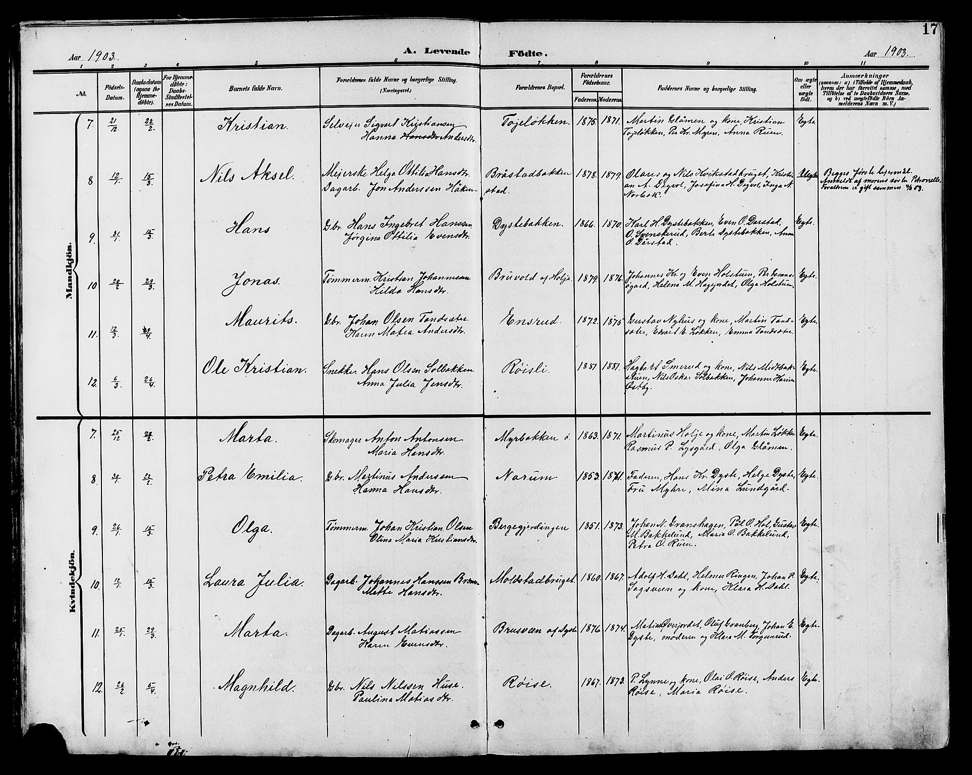 Vestre Toten prestekontor, AV/SAH-PREST-108/H/Ha/Hab/L0011: Parish register (copy) no. 11, 1901-1911, p. 17