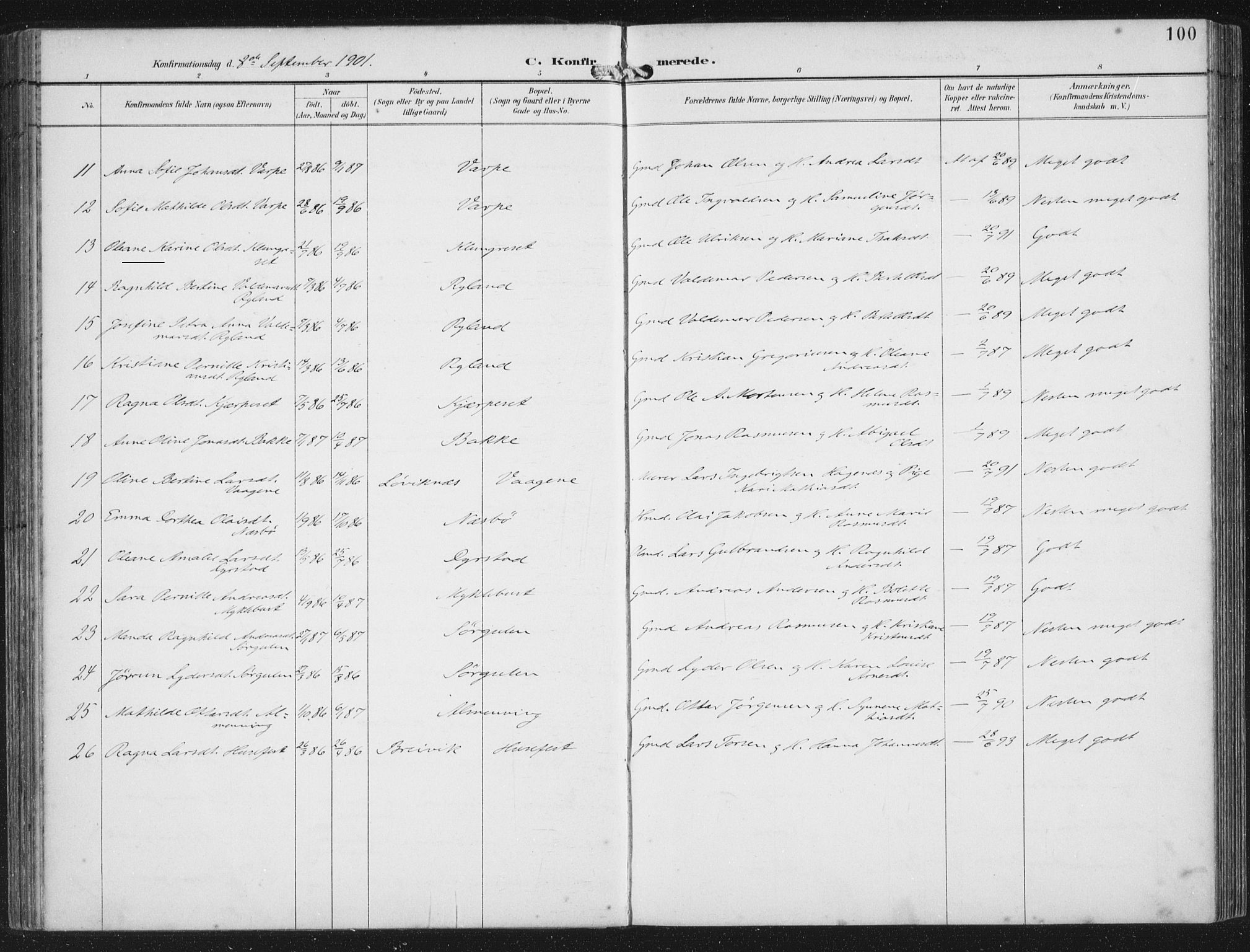 Bremanger sokneprestembete, AV/SAB-A-82201/H/Haa/Haab/L0002: Parish register (official) no. B  2, 1896-1908, p. 100