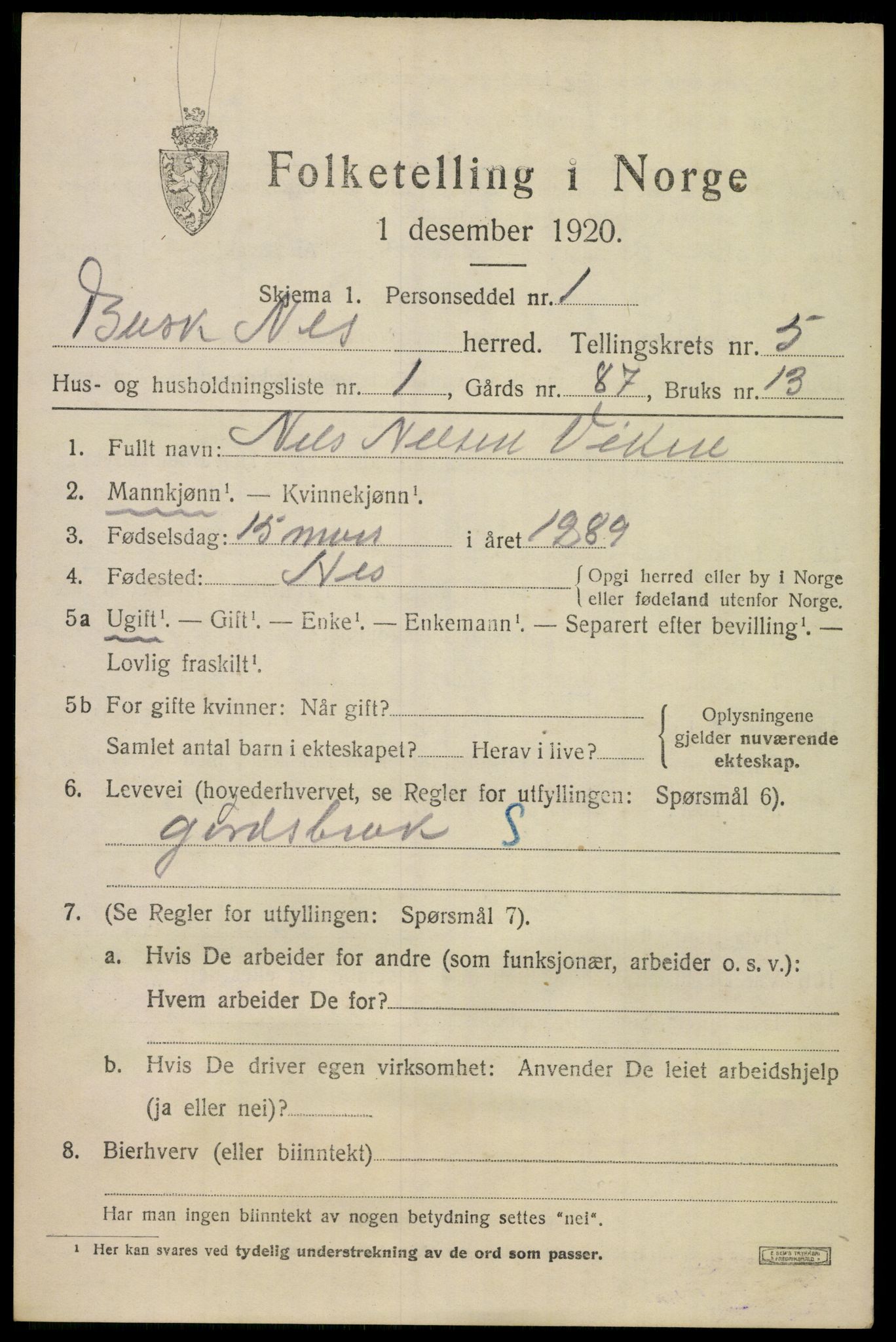 SAKO, 1920 census for Nes (Buskerud), 1920, p. 2496