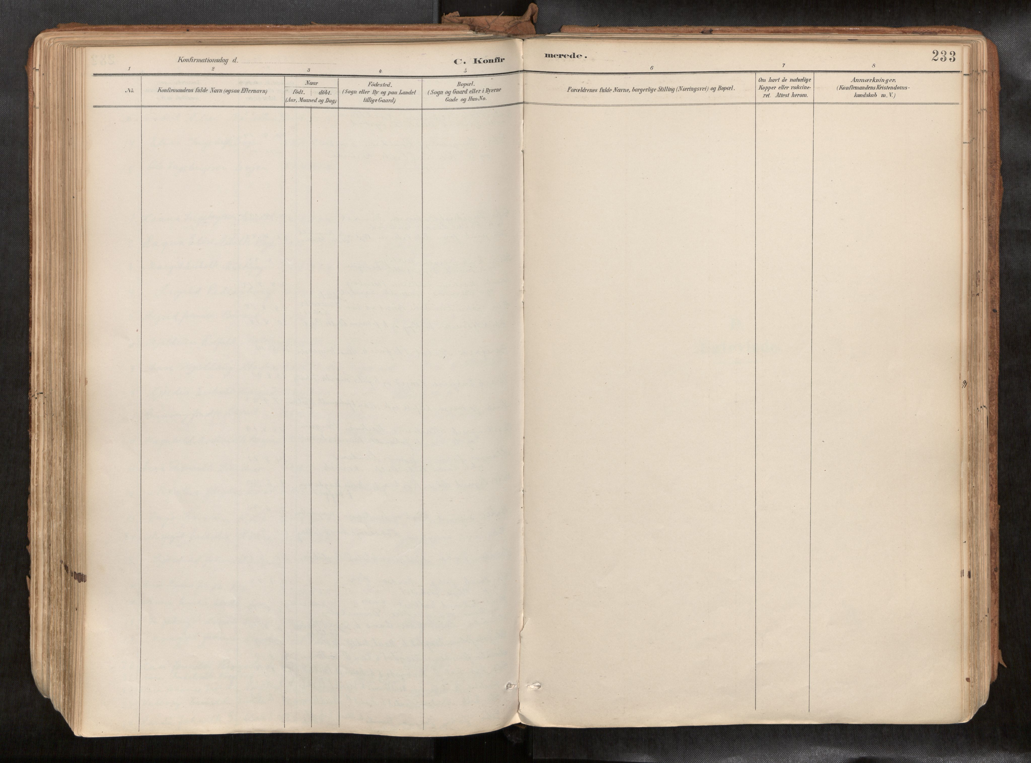Ministerialprotokoller, klokkerbøker og fødselsregistre - Sør-Trøndelag, SAT/A-1456/692/L1105b: Parish register (official) no. 692A06, 1891-1934, p. 233