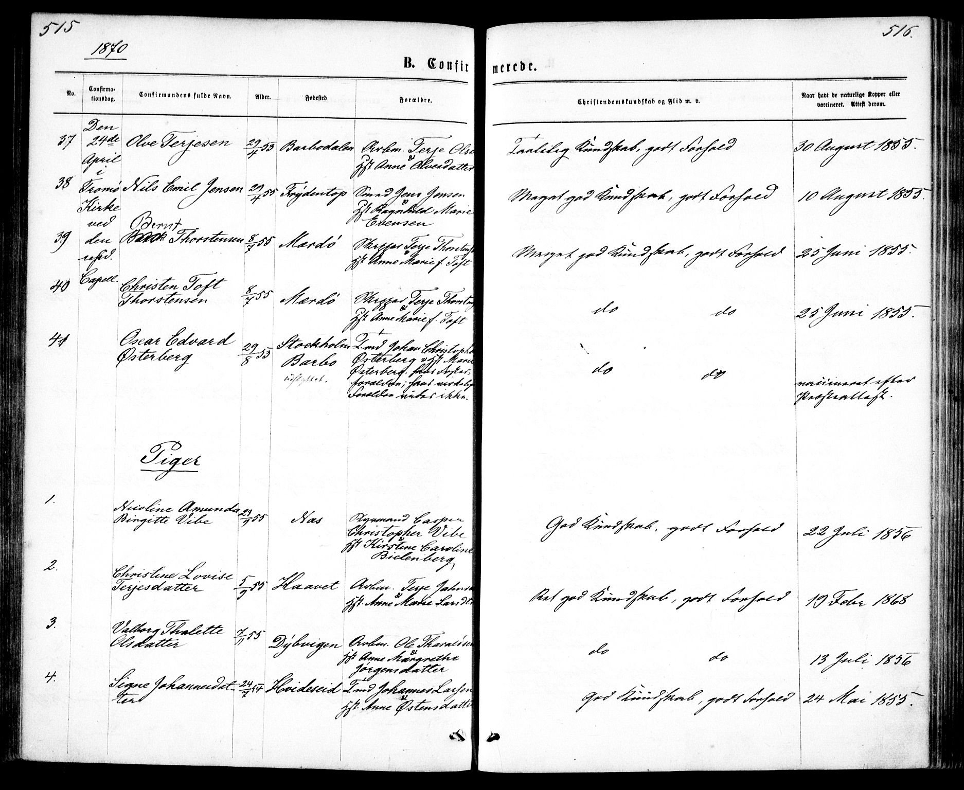 Tromøy sokneprestkontor, AV/SAK-1111-0041/F/Fa/L0008: Parish register (official) no. A 8, 1870-1877, p. 515-516