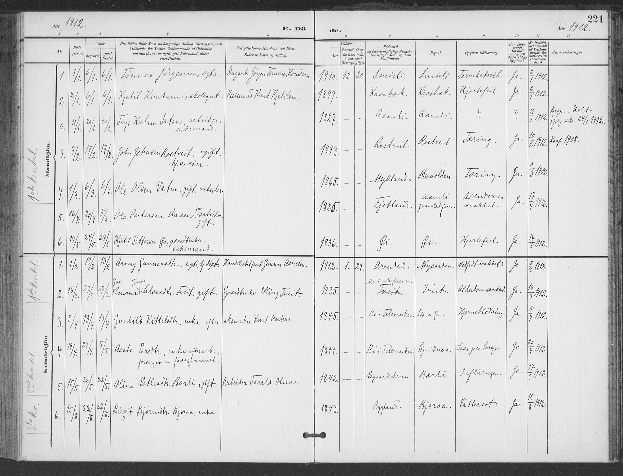 Åmli sokneprestkontor, AV/SAK-1111-0050/F/Fa/Fac/L0012: Parish register (official) no. A 12, 1900-1914, p. 221